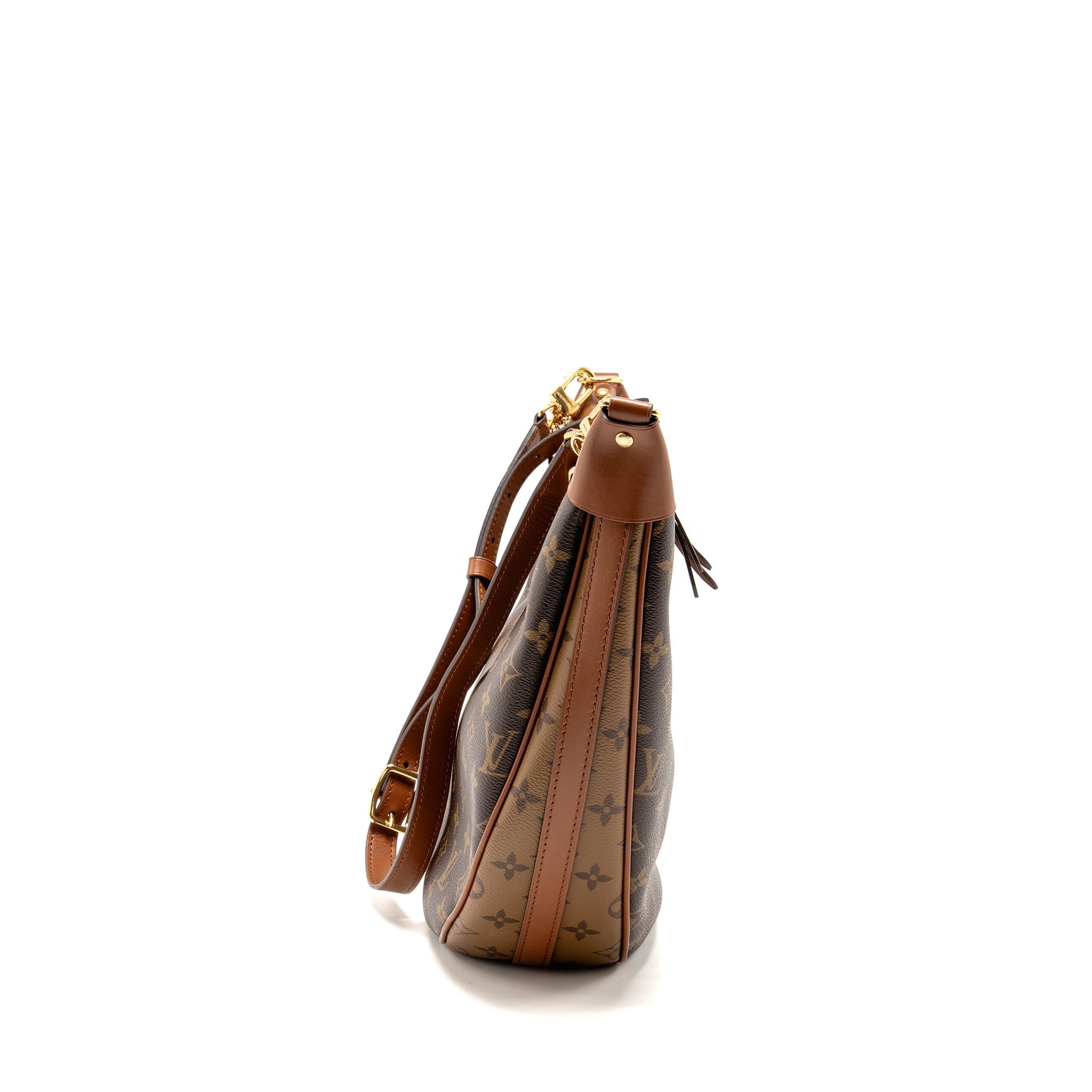 LOUIS VUITTON LOOP HOBO BAG MONOGRAM CANVAS GHW