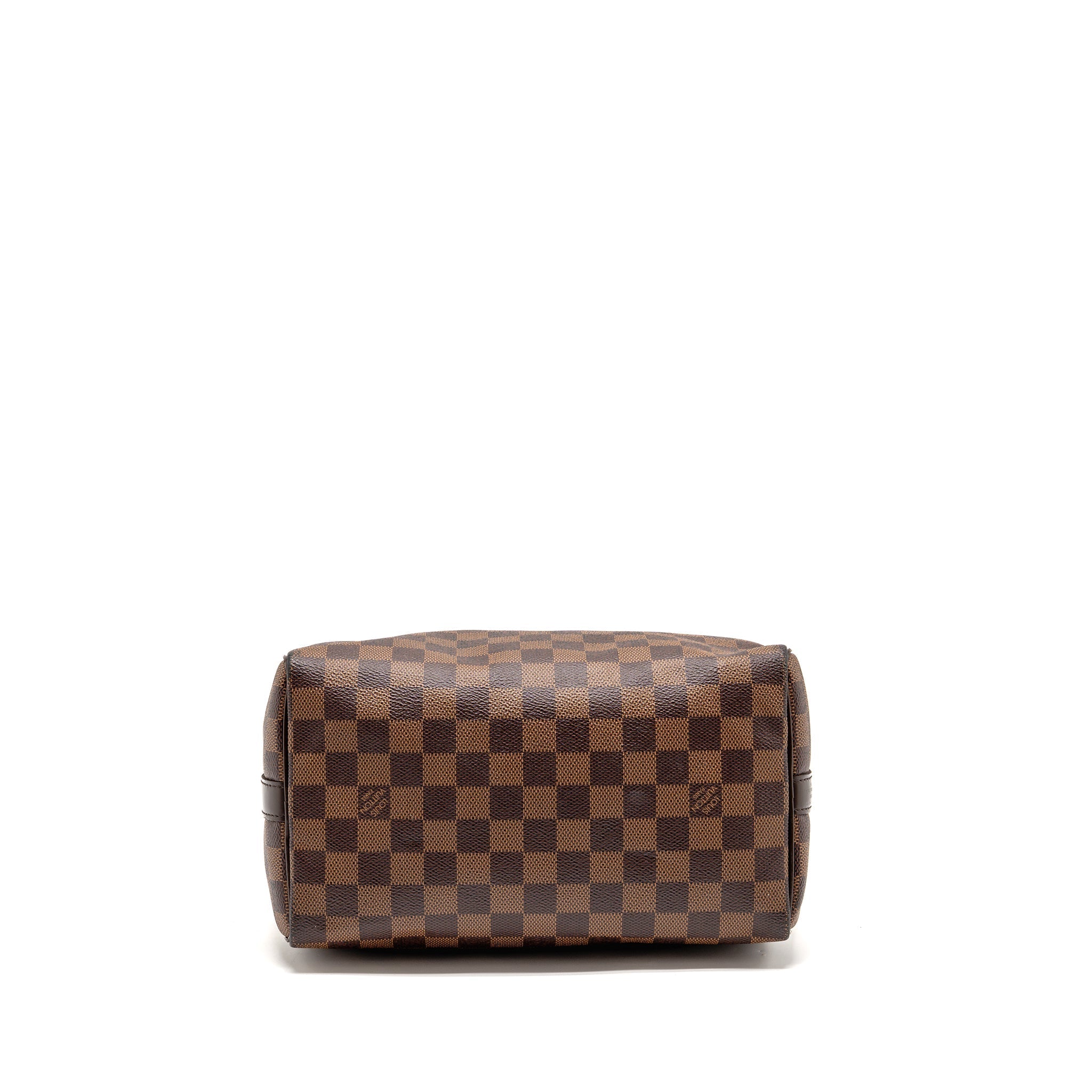 LOUIS VUITTON SPEEDY 25 DAMIER EBENE GHW