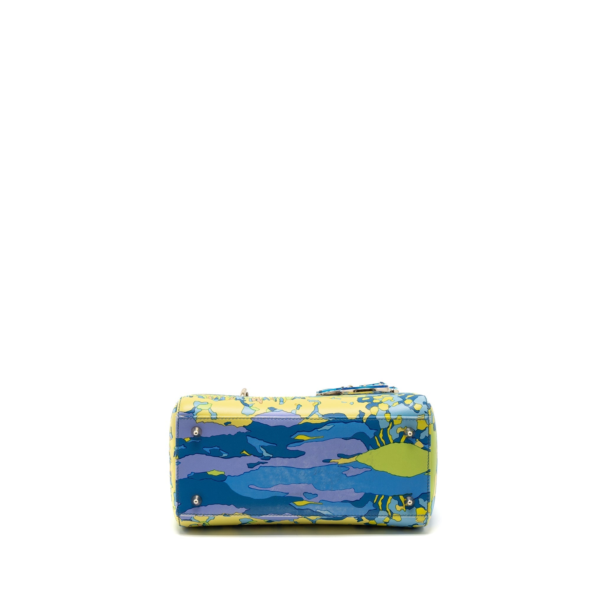 DIOR MEDIUM LADY DIOR BAG MULTICOLOUR LGHW