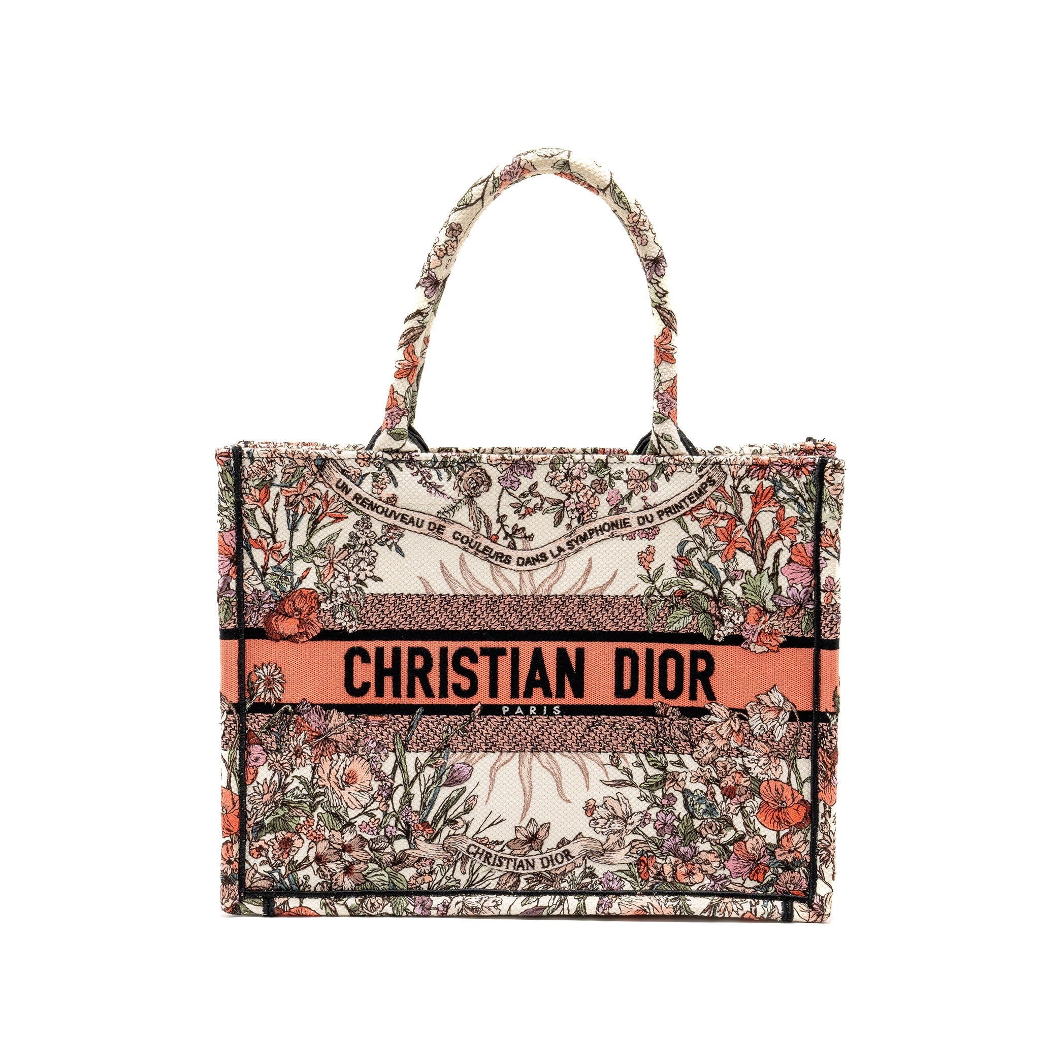 DIOR MEDIUM BOOK TOTE LIMITED EDITION CANVAS MULTICOLOUR