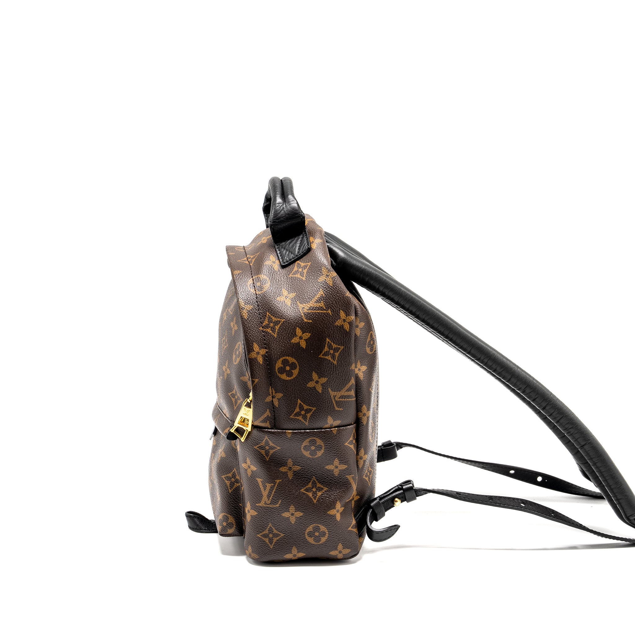 LOUIS VUITTON PALM SPRING PM BACKPACK MONOGRAM CANVAS GHW