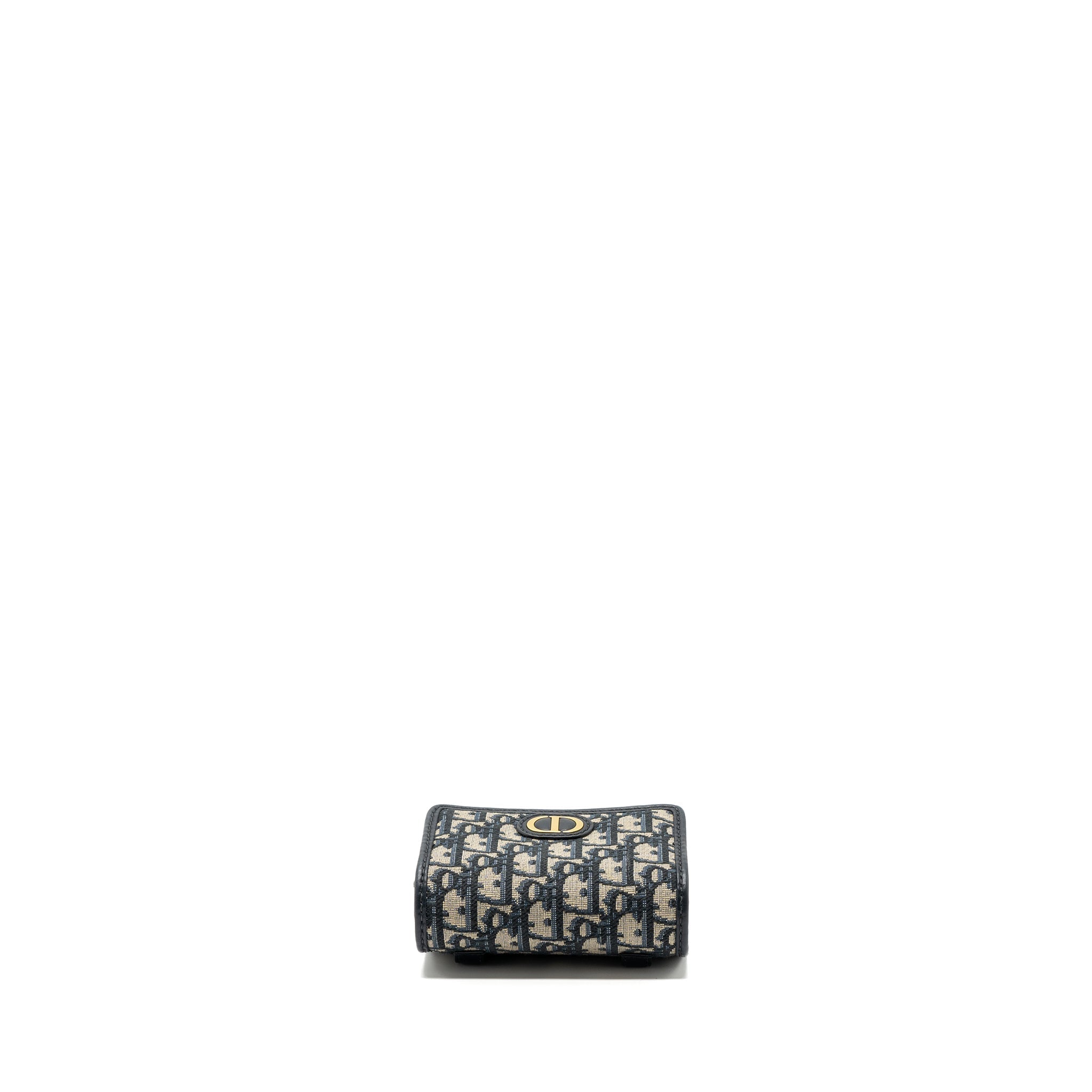 DIOR 30 MONTAIGNE POUCH WITH CHAIN CANVAS BLUE OBLIQUE GHW