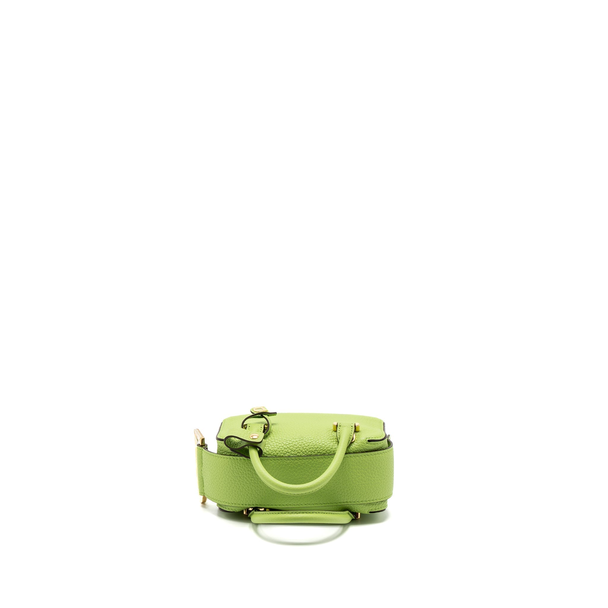 DELVAUX COOL BOX NANO TAURILLON SOFT CALFSKIN ALOE GHW