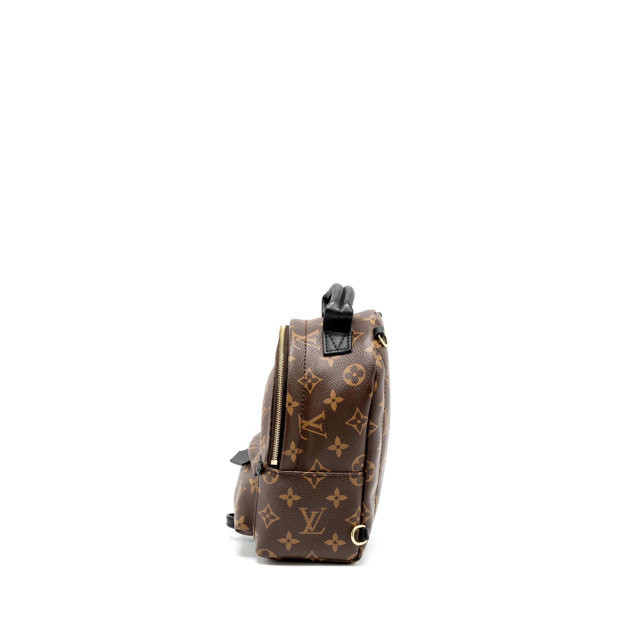 LOUIS VUITTON MINI PALM SPRING BACKPACK MONOGRAM CANVAS GHW (NEW VERSION)