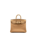 HERMES BIRKIN 25 TOUCH TOGO/ALLIGATOR MISSISSIPPIENSIS MAT CHAI LGHW