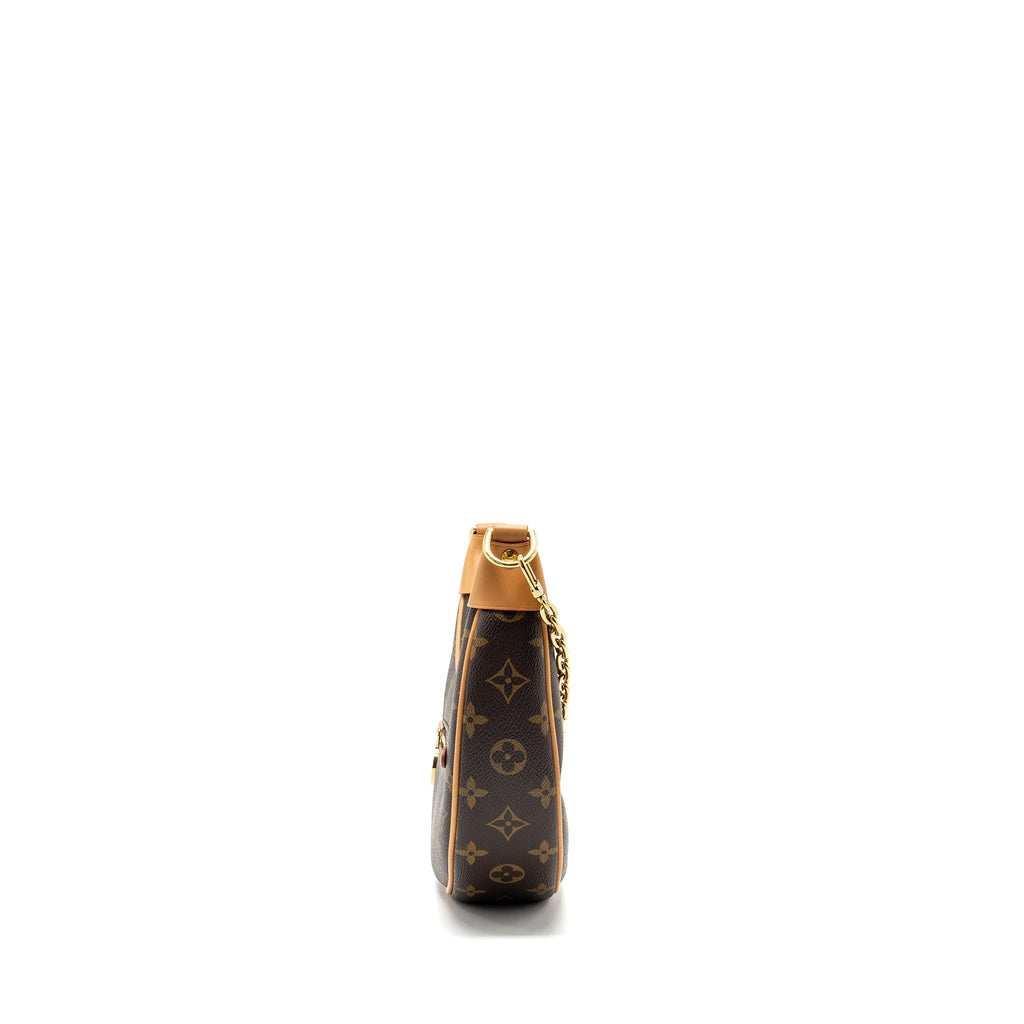 LOUIS VUITTON LOOP BAG MONOGRAM CANVAS GHW