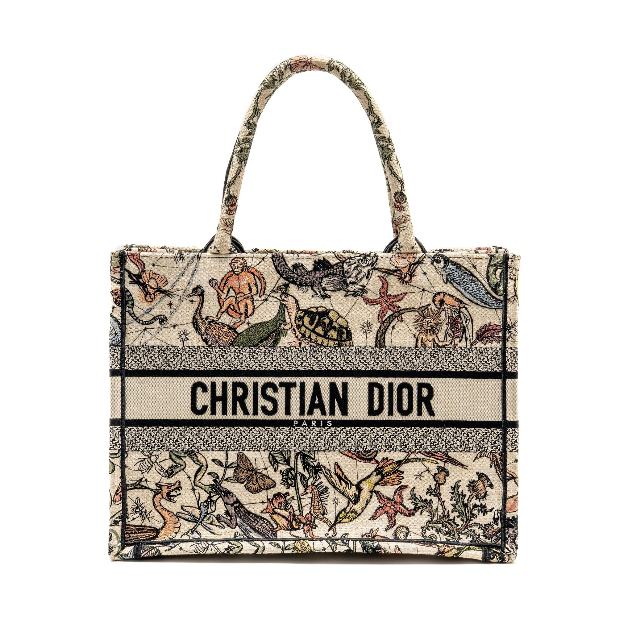 DIOR MEDIUM BOOK TOTE EMBROIDERY CANVAS MULTICOLOUR