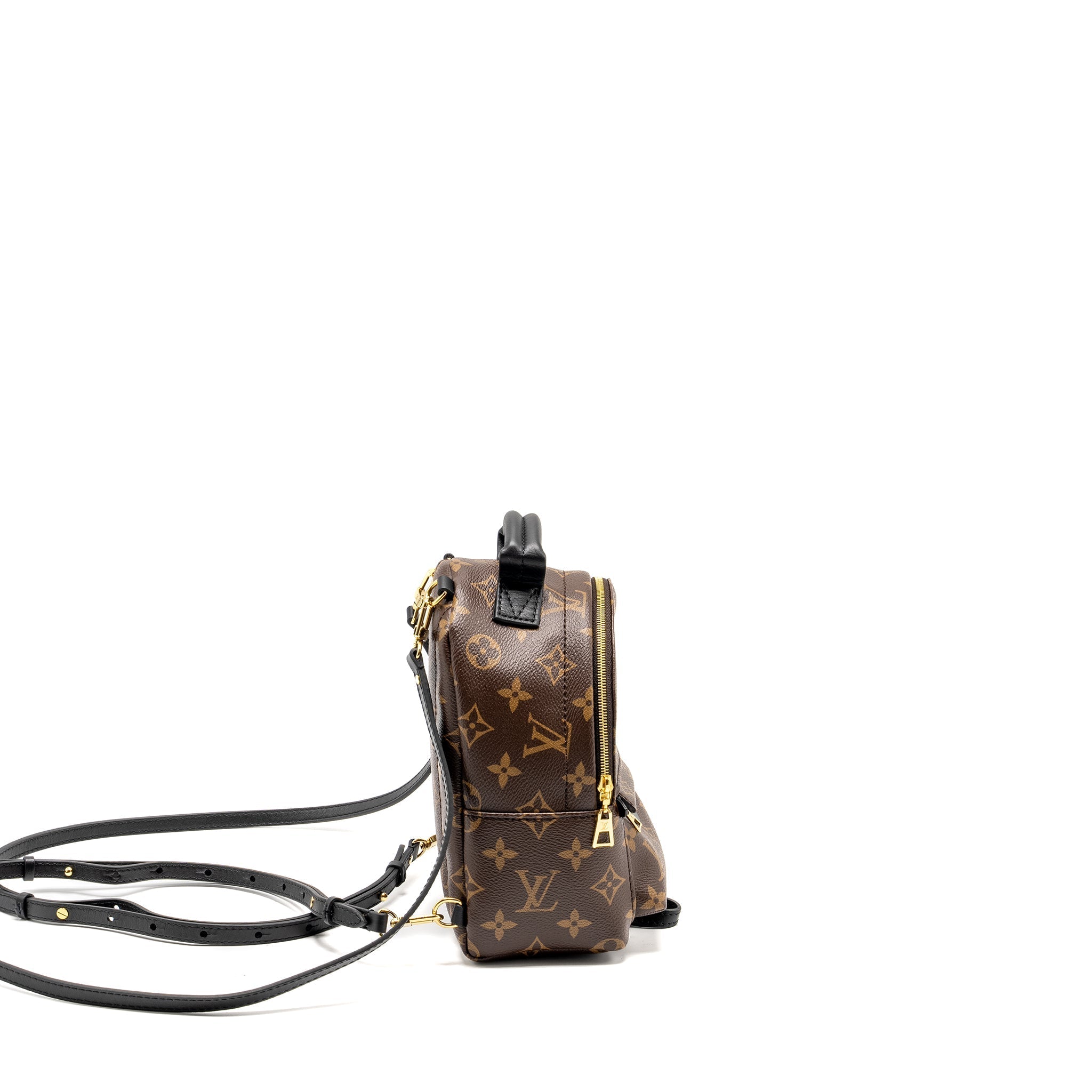 LOUIS VUITTON MINI PALM SPRING BACKPACK MONOGRAM CANVAS GHW