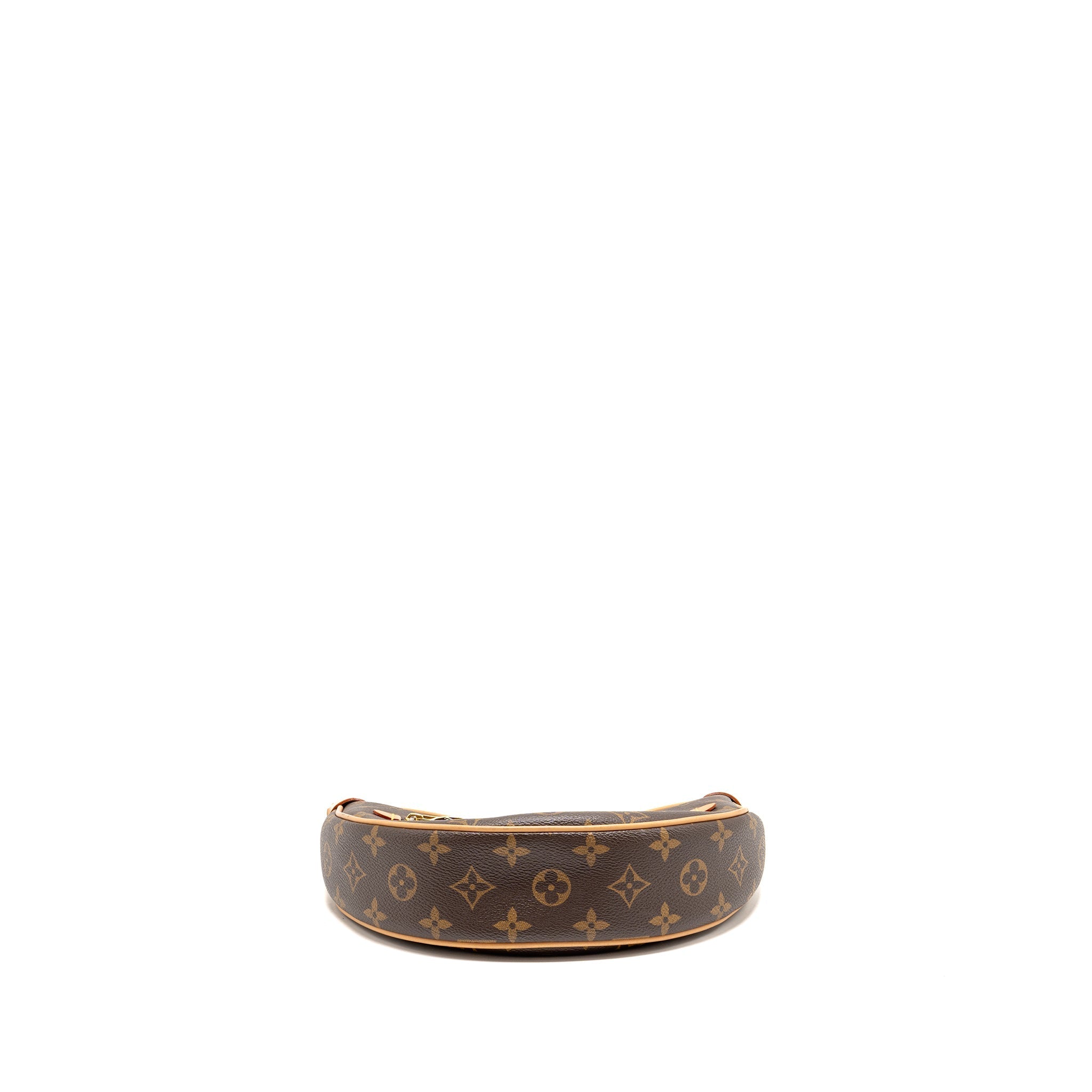LOUIS VUITTON LOOP PM BAG MONOGRAM CANVAS GHW
