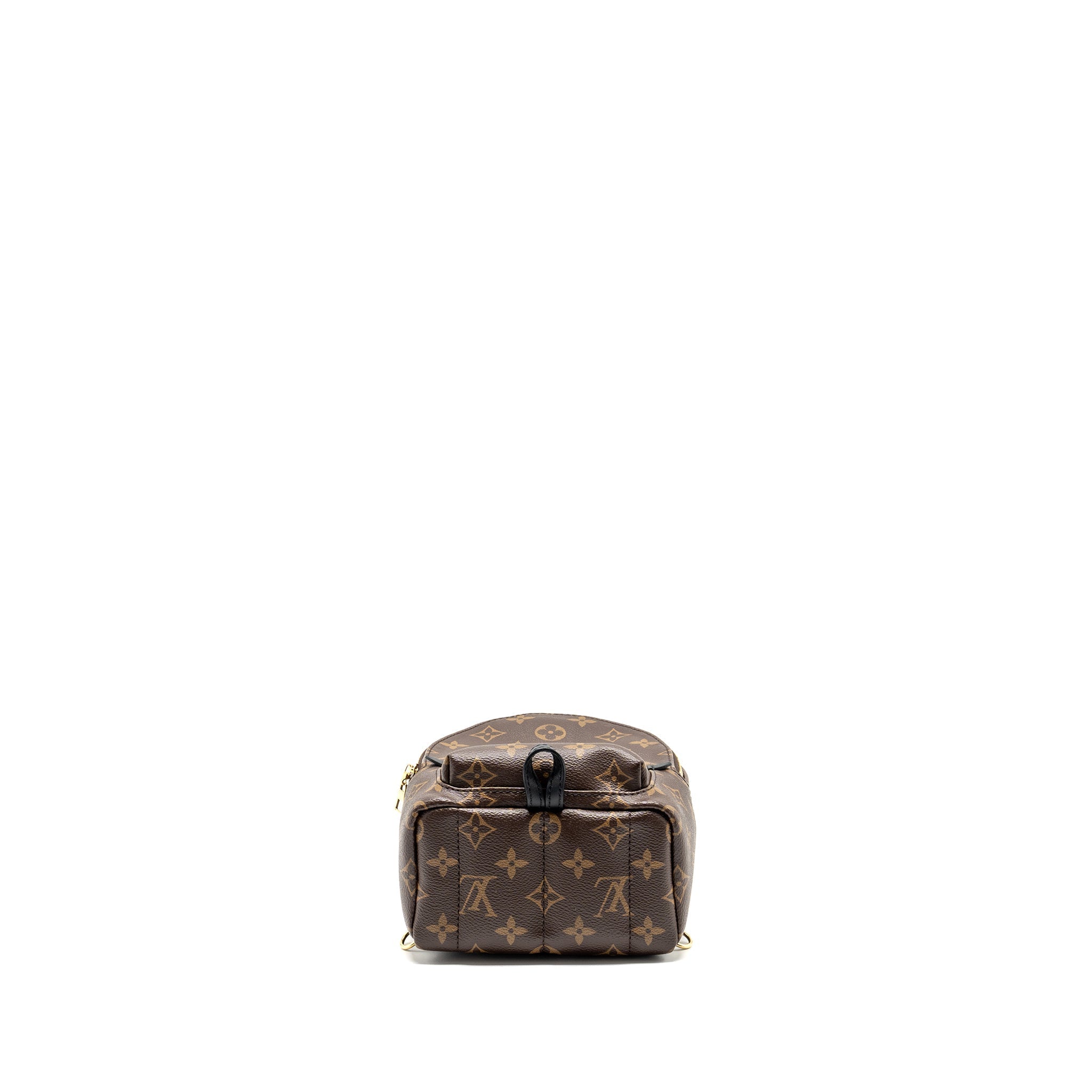 LOUIS VUITTON PALM SPRING MINI BACKPACK MONOGRAM CANVAS