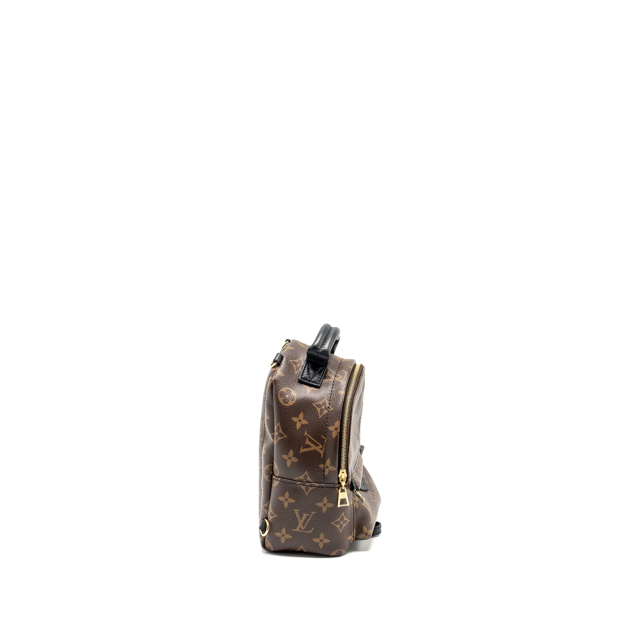 LOUIS VUITTON PALM SPRING MINI BACKPACK MONOGRAM CANVAS