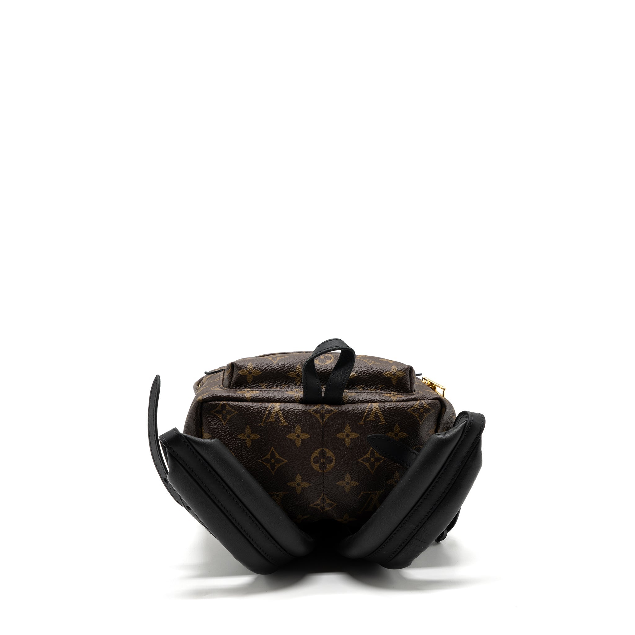 LOUIS VUITTON PALM SPRING BACKPACK PM MONOGRAM CANVAS GHW