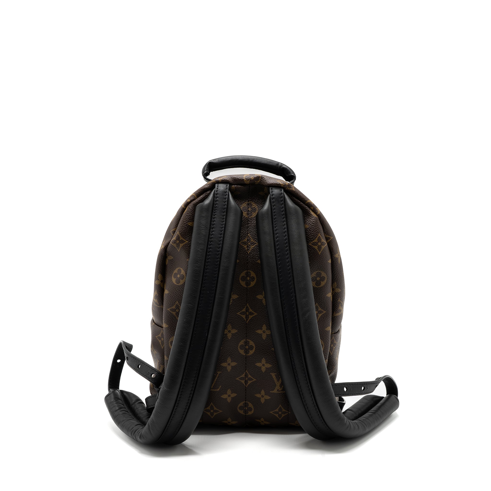 LOUIS VUITTON PALM SPRING BACKPACK PM MONOGRAM CANVAS GHW