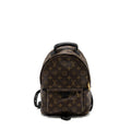 LOUIS VUITTON PALM SPRING BACKPACK PM MONOGRAM CANVAS GHW