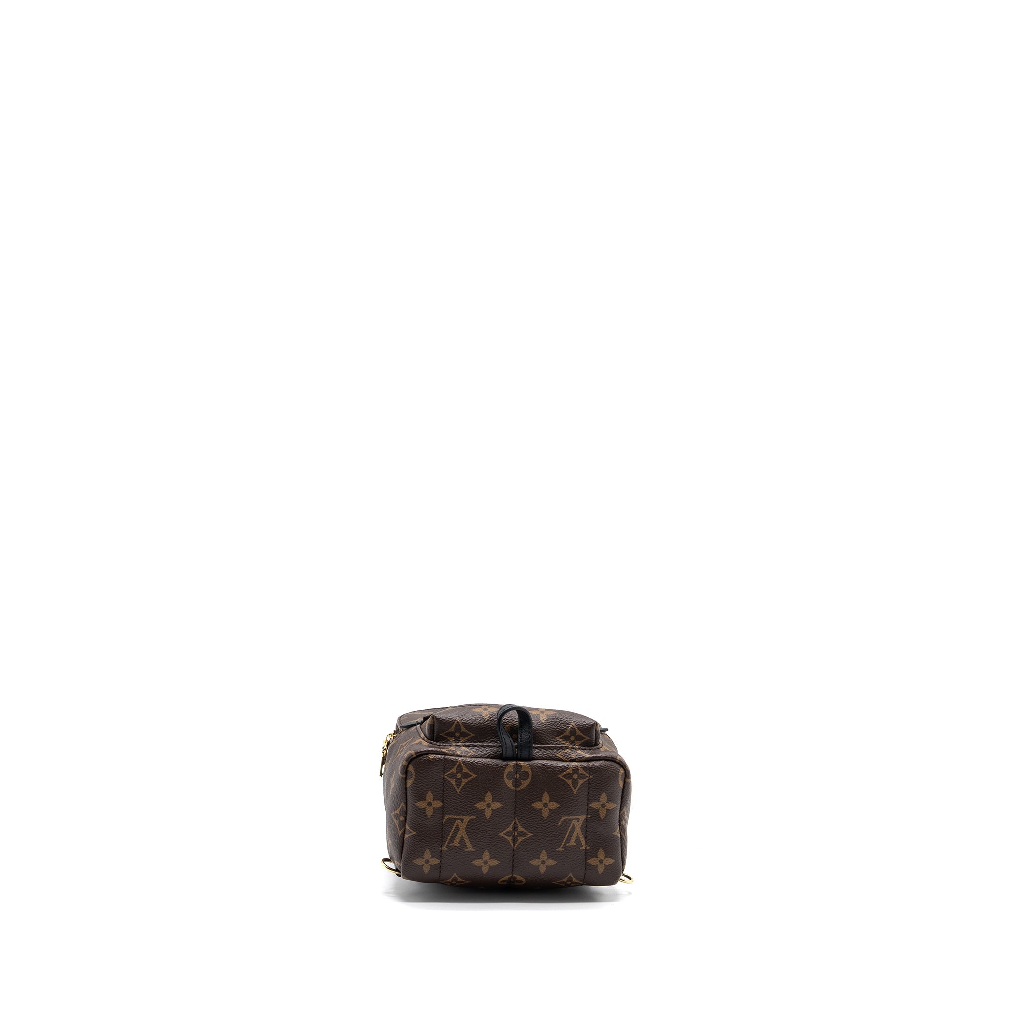 LOUIS VUITTON PALM SPRING MINI BACKPACK MONOGRAM CANVAS GHW (NEW VERSION)
