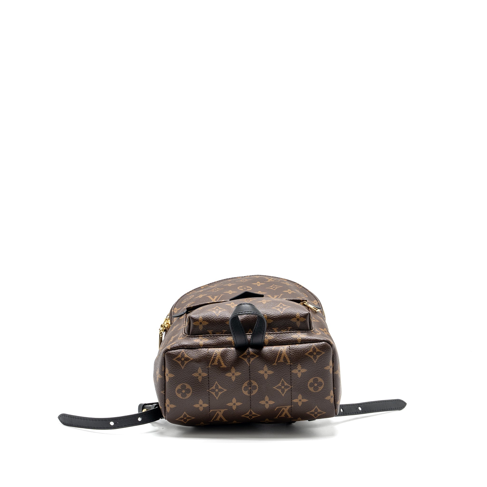 LOUIS VUITTON PALM SPRING PM BACKPACK MONOGRAM CANVAS GHW
