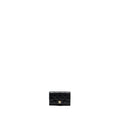 CHANEL CLASSIC FLAP CARD HOLDER CAVIAR BLACK GHW (MICROCHIP)