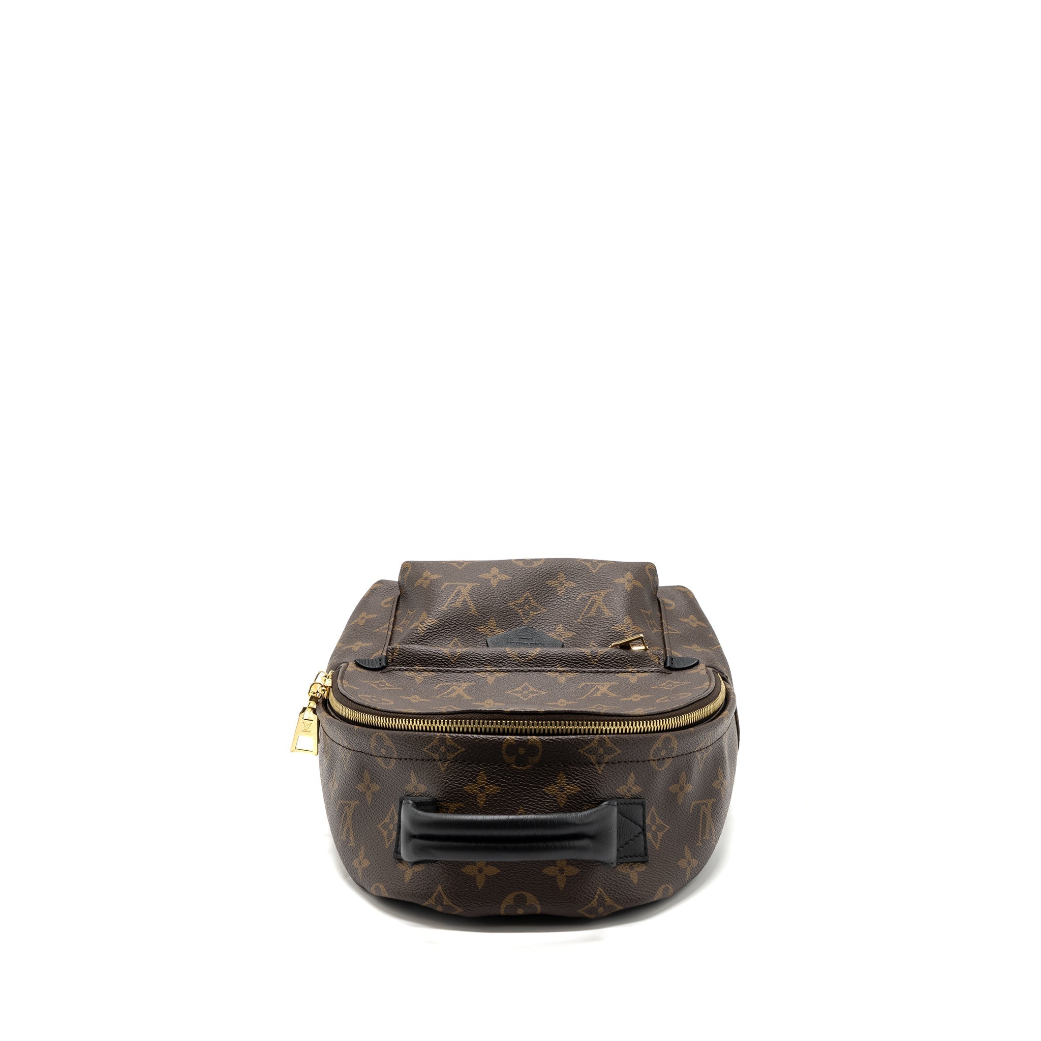 LOUIS VUITTON PALM SPRING BACKPACK PM MONOGRAM CANVAS GHW