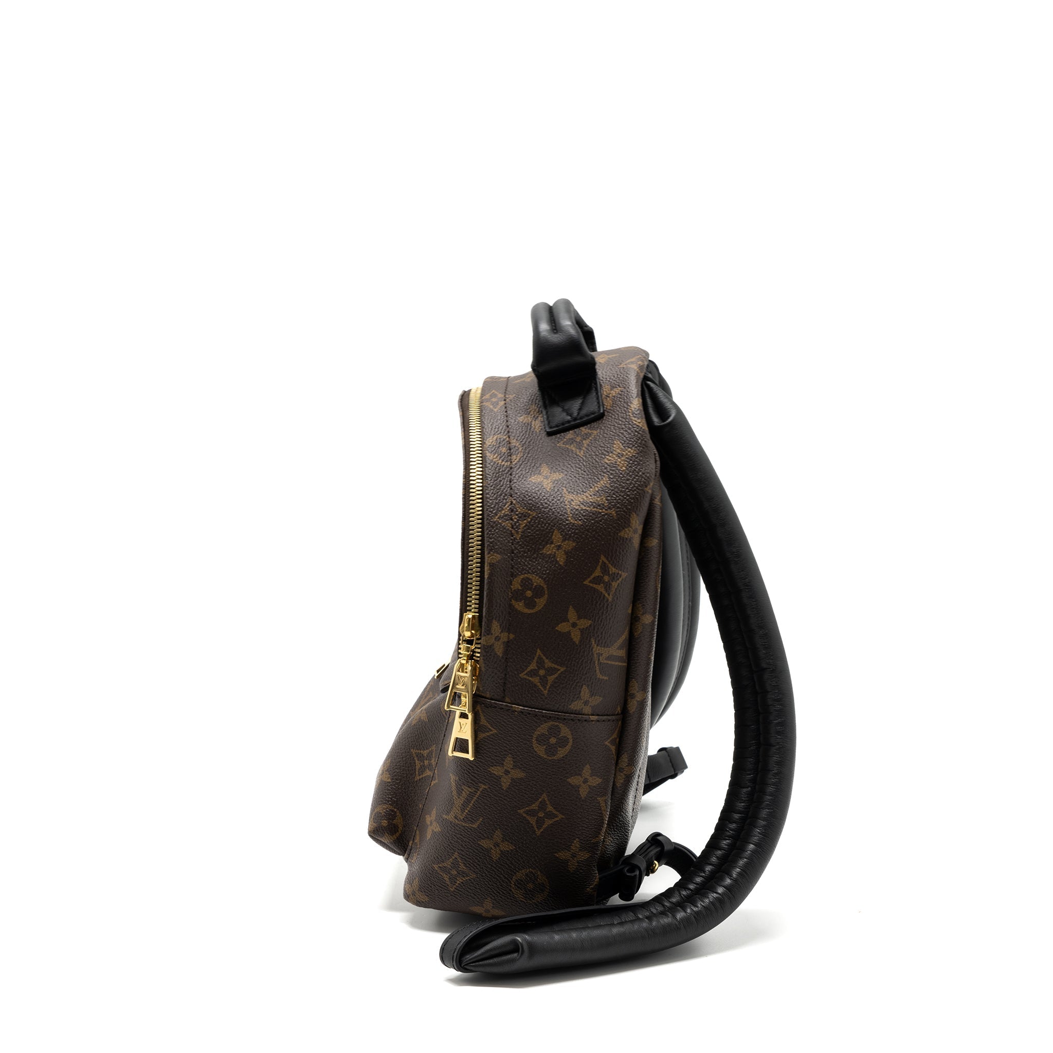 LOUIS VUITTON PALM SPRING BACKPACK PM MONOGRAM CANVAS GHW