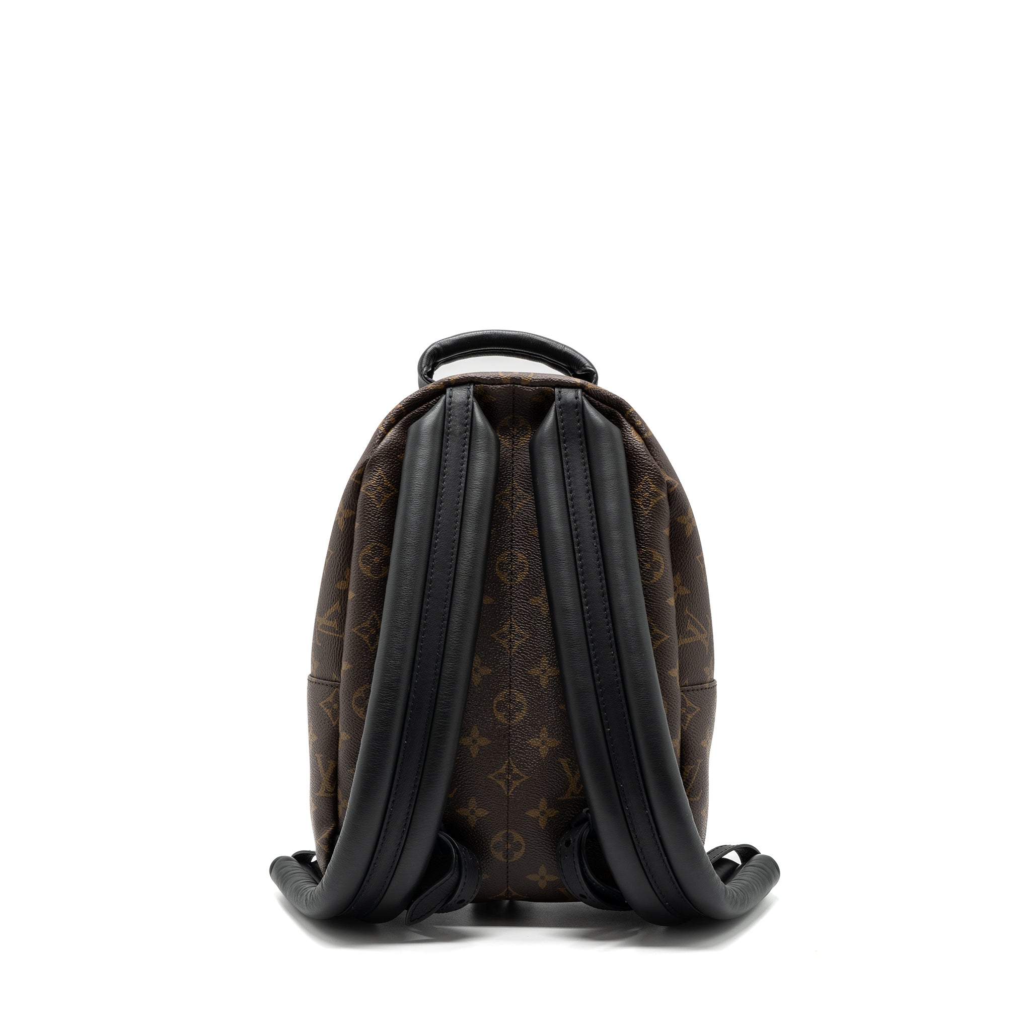 LOUIS VUITTON PALM SPRING BACKPACK PM MONOGRAM CANVAS GHW