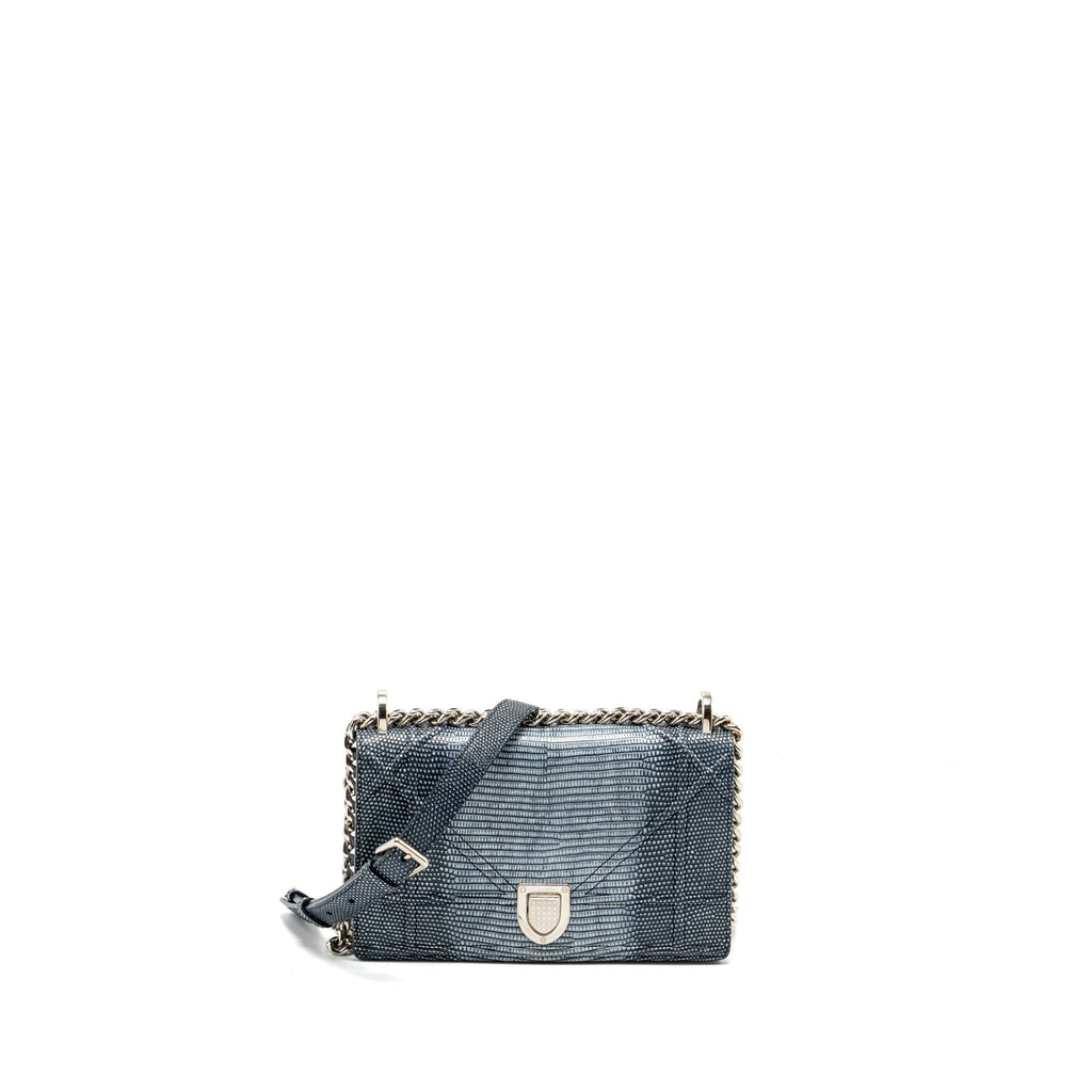 DIOR SMALL DIORAMA LIZARD SILVER/MULTICOLOUR SHW