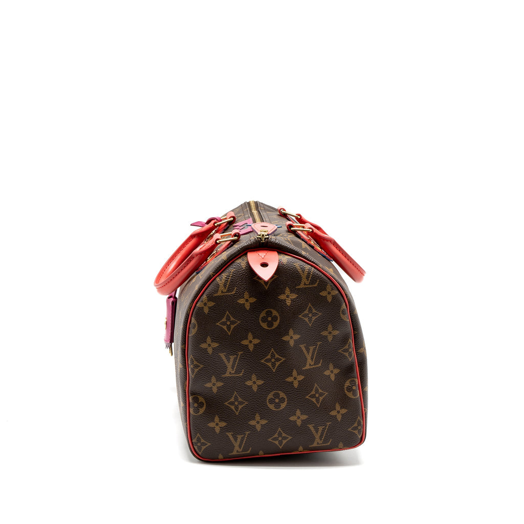 LOUIS VUITTON SPEEDY 30 LIMITED EDITION MONOGRAM CANVAS GHW