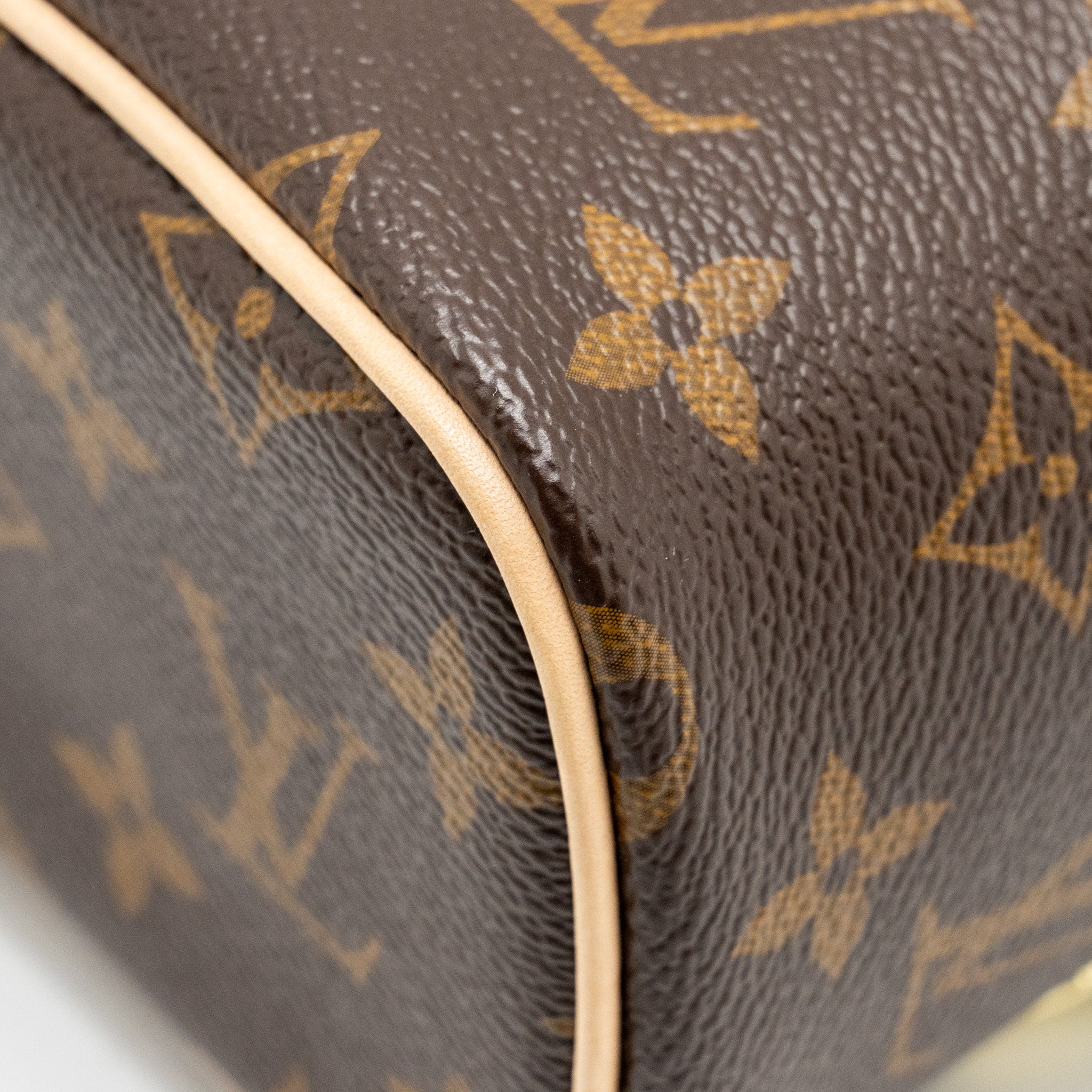 LOUIS VUITTON NICE NANO MONOGRAM CANVAS GHW
