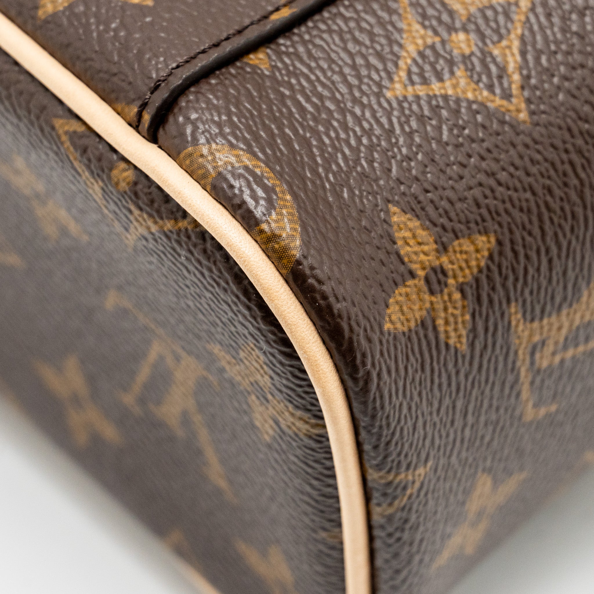 LOUIS VUITTON NICE NANO MONOGRAM CANVAS GHW
