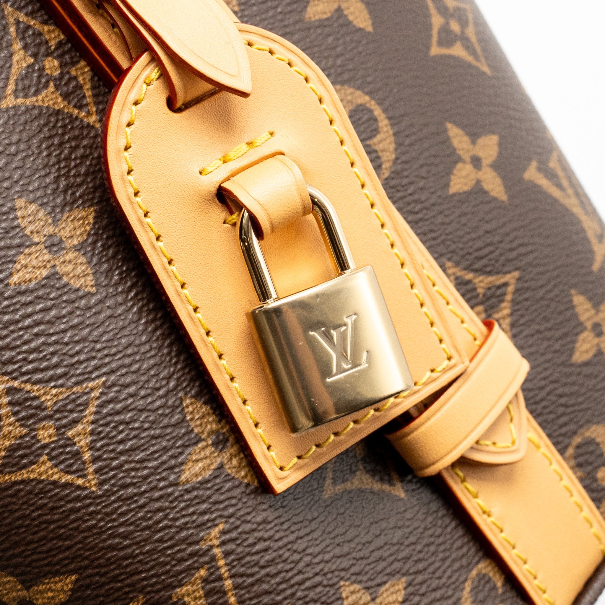 LOUIS VUITTON ALL IN BB BAG MONOGRAM CANVAS GHW