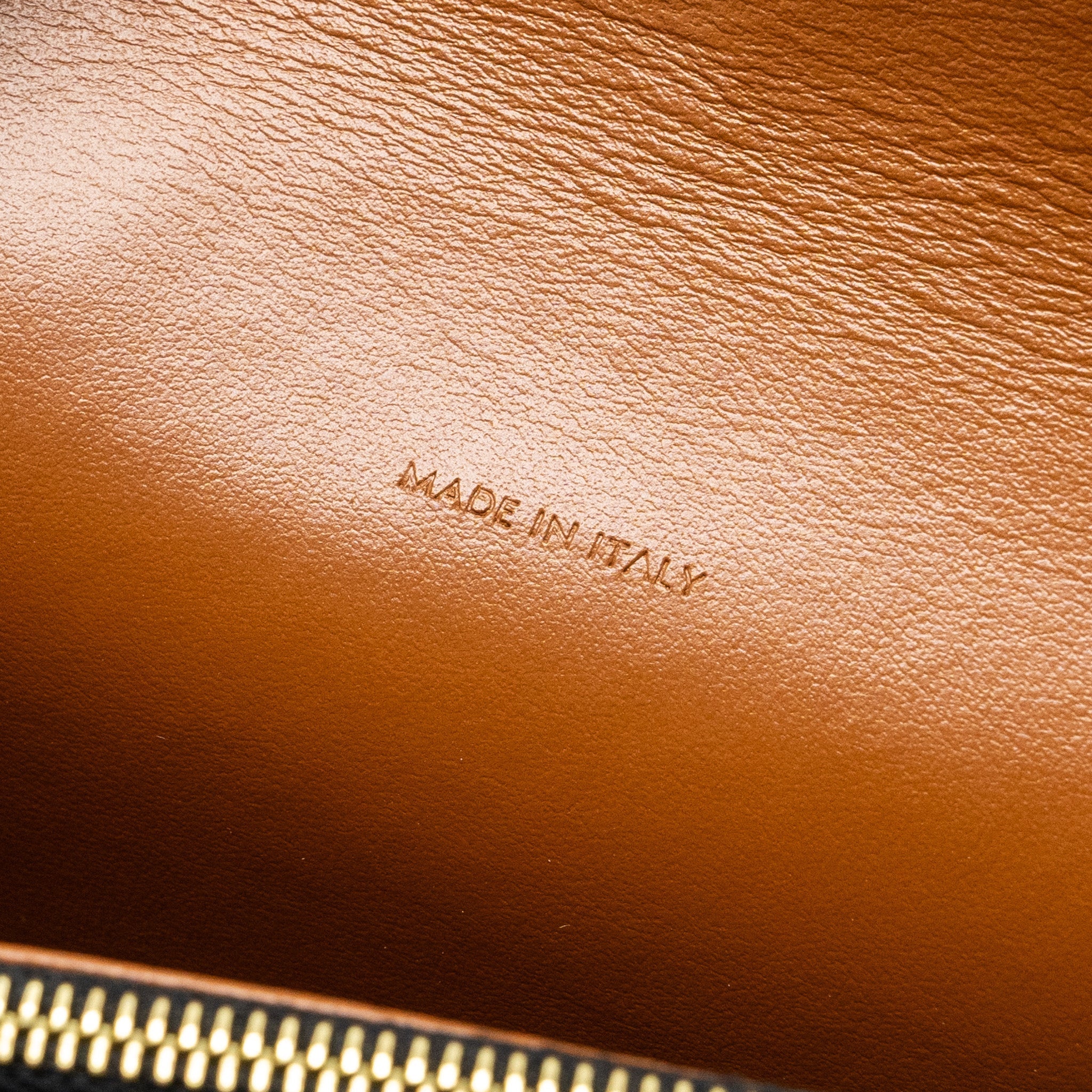 CELINE WALLET ON STRAP TRIOMPHE CANVAS/SMOOTH LAMBSKIN TAN GHW