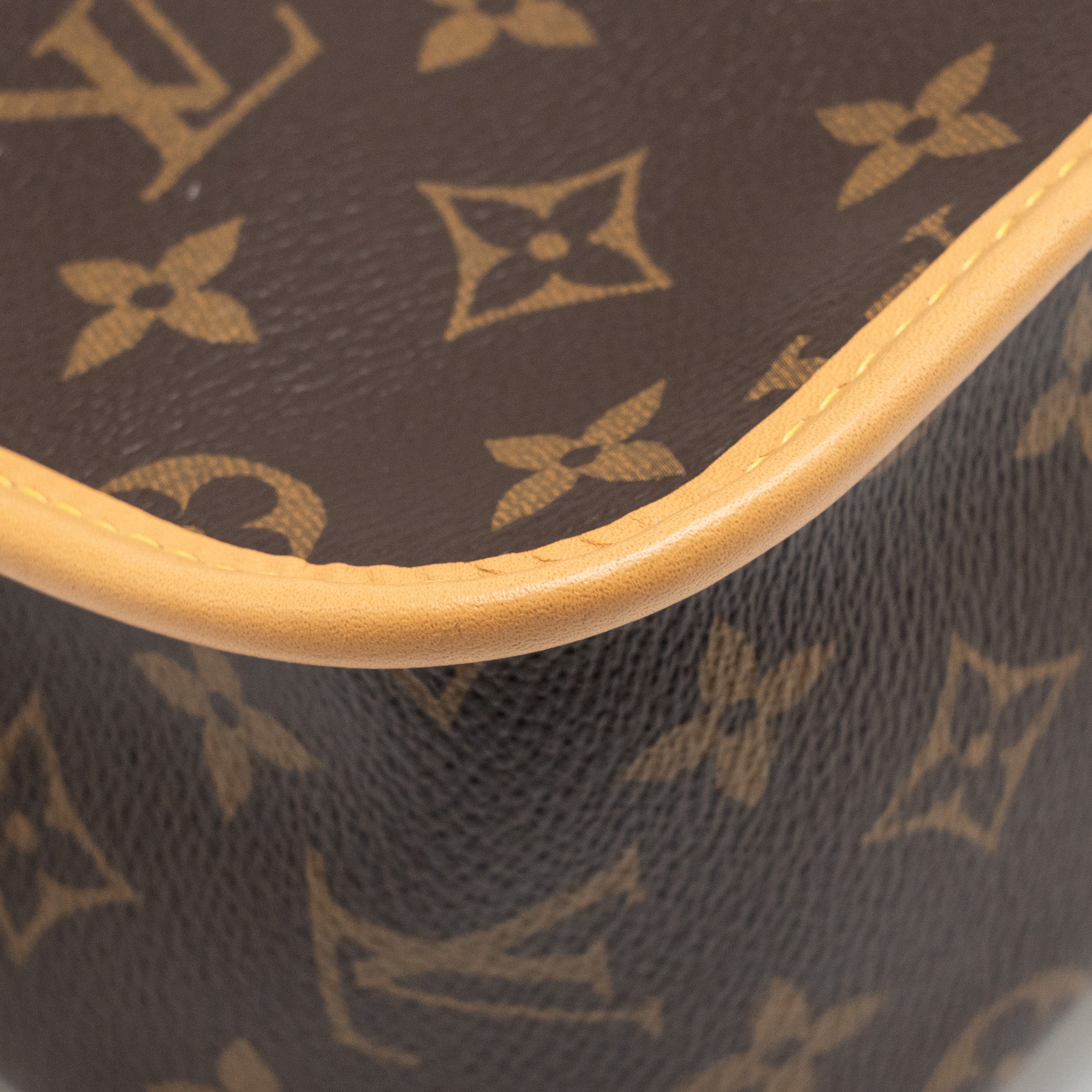 LOUIS VUITTON DIANE BAG MONOGRAM CANVAS GHW