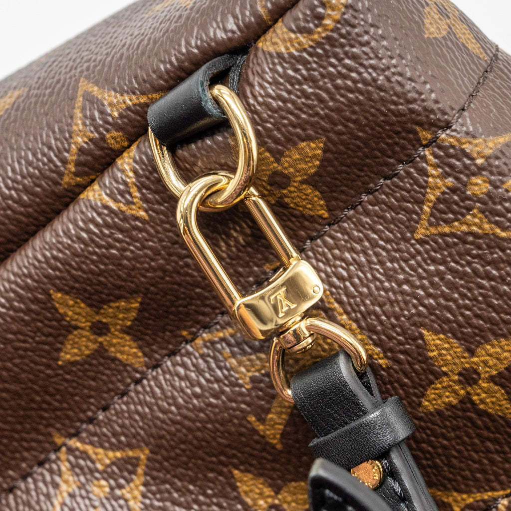 LOUIS VUITTON MINI PALM SPRING BACKPACK MONOGRAM CANVAS GHW