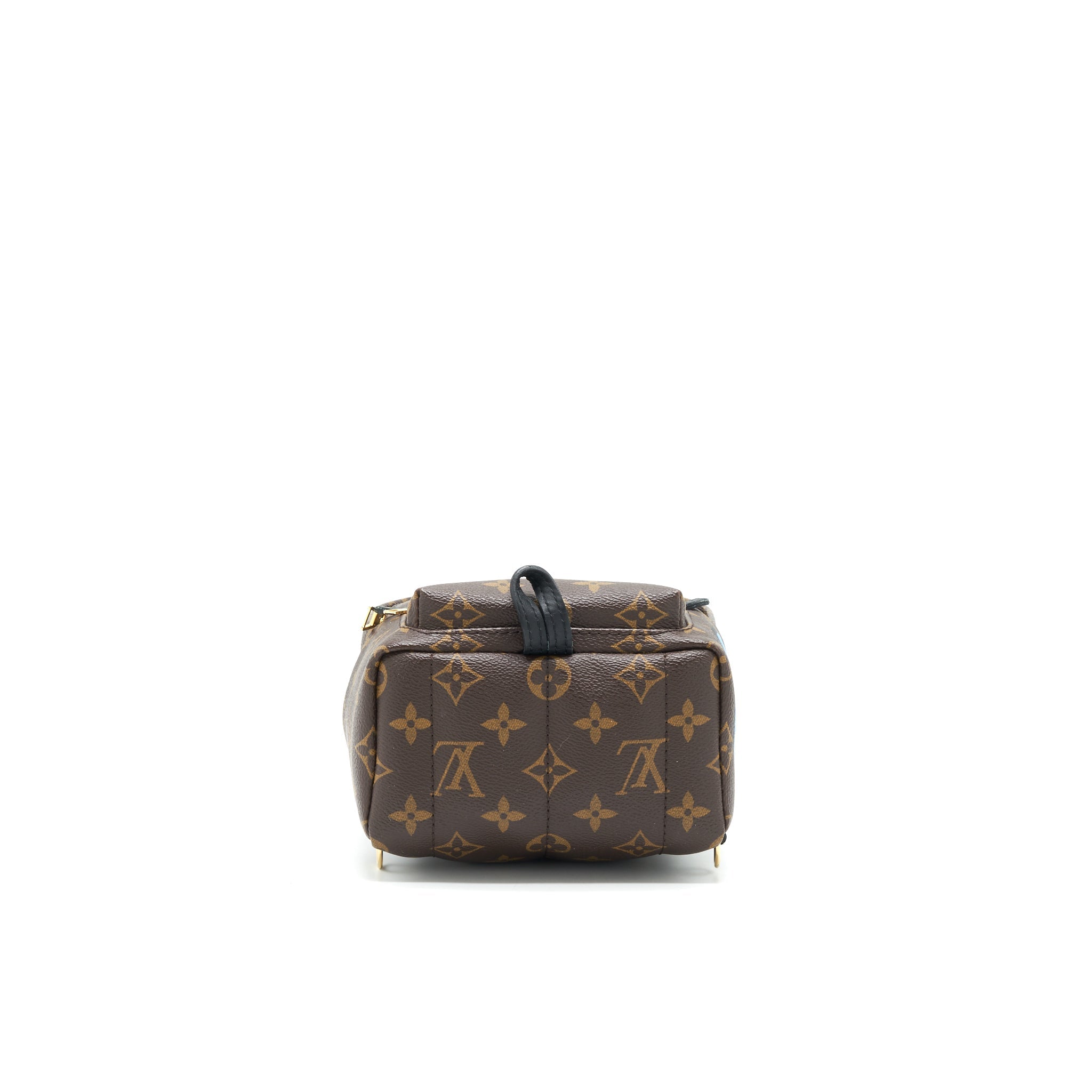 LOUIS VUITTON PALM SPRING MINI BACKPACK LIMITED EDITION