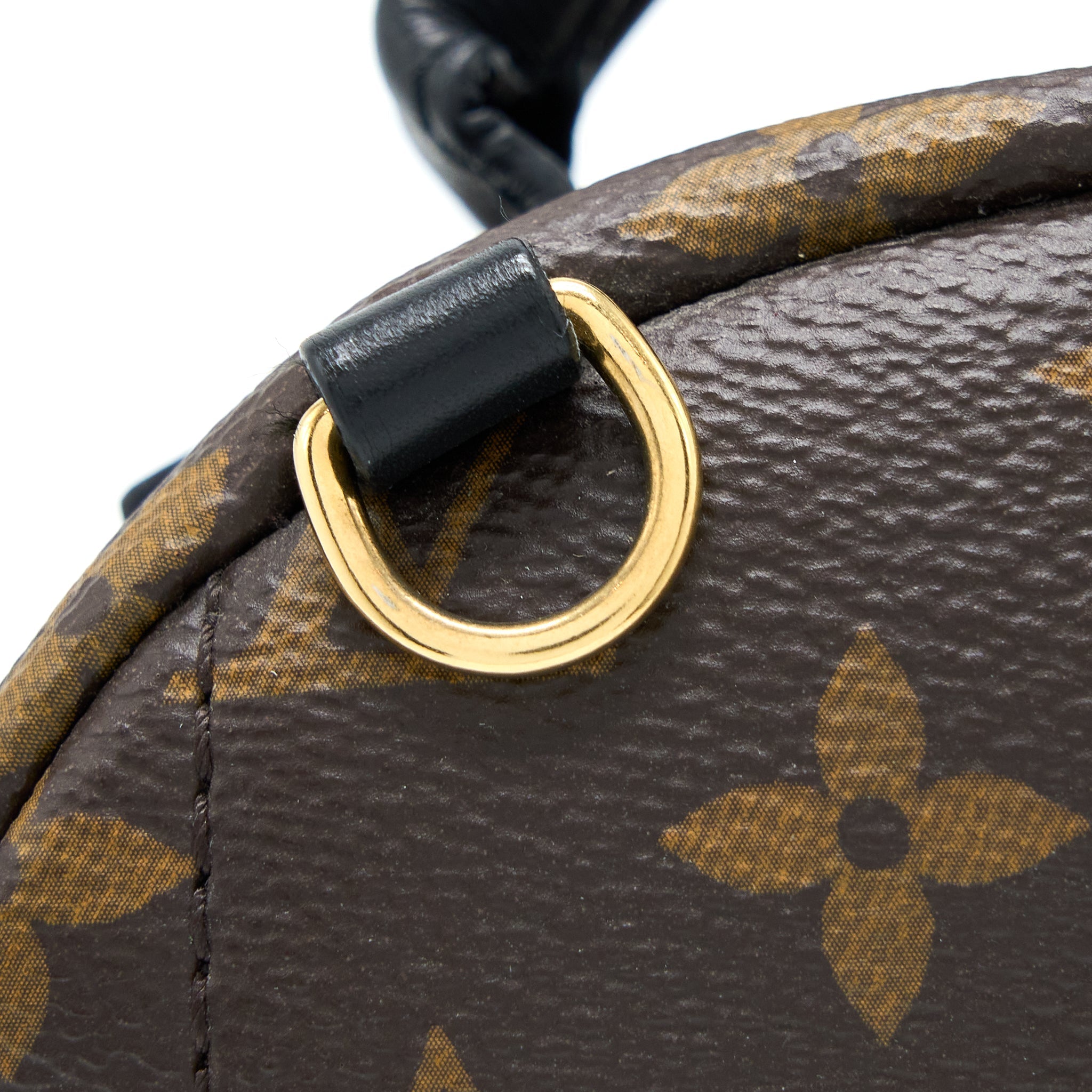 LOUIS VUITTON PALM SPRING MINI BACKPACK MONOGRAM CANVAS GHW