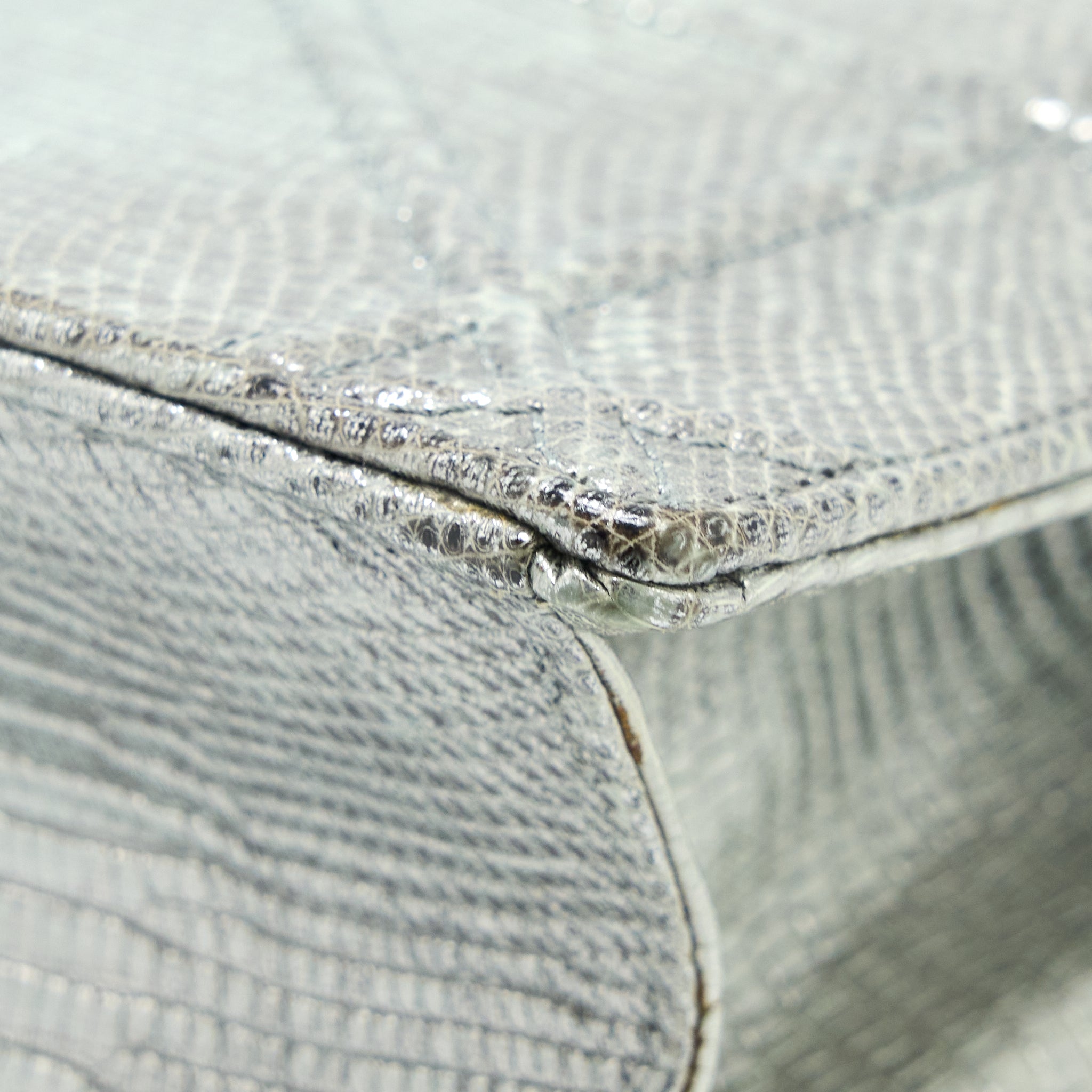 DIOR SMALL DIORAMA LIZARD METALLIC SILVER SHW