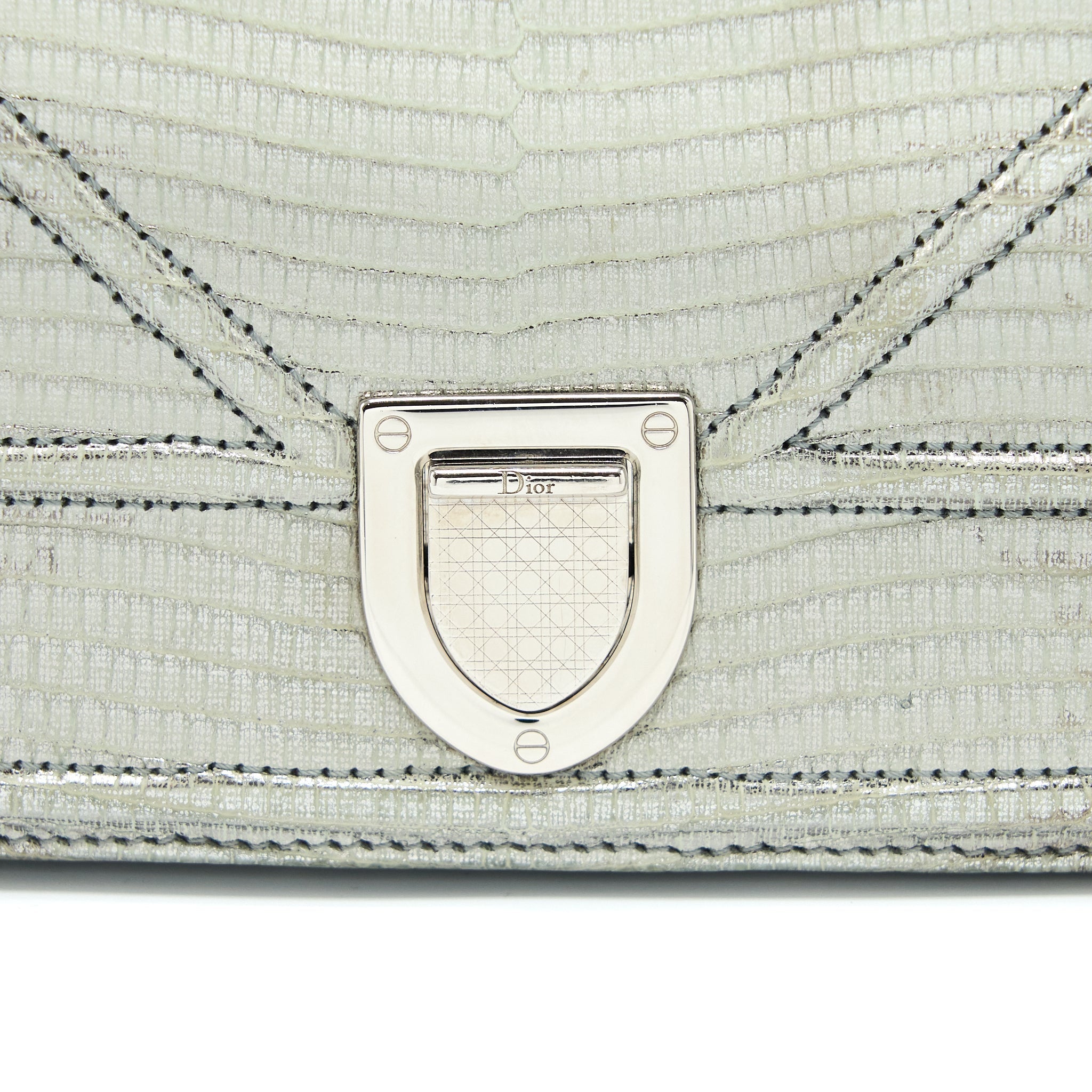 DIOR SMALL DIORAMA LIZARD METALLIC SILVER SHW