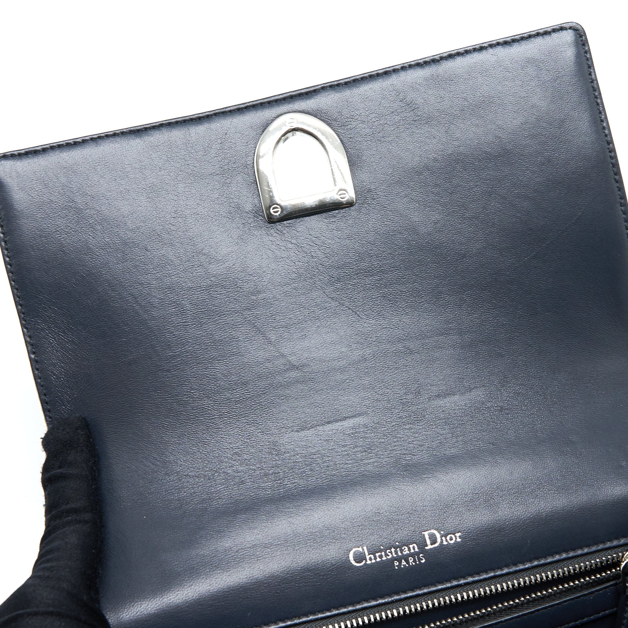 DIOR SMALL DIORAMA LIZARD METALLIC SILVER SHW