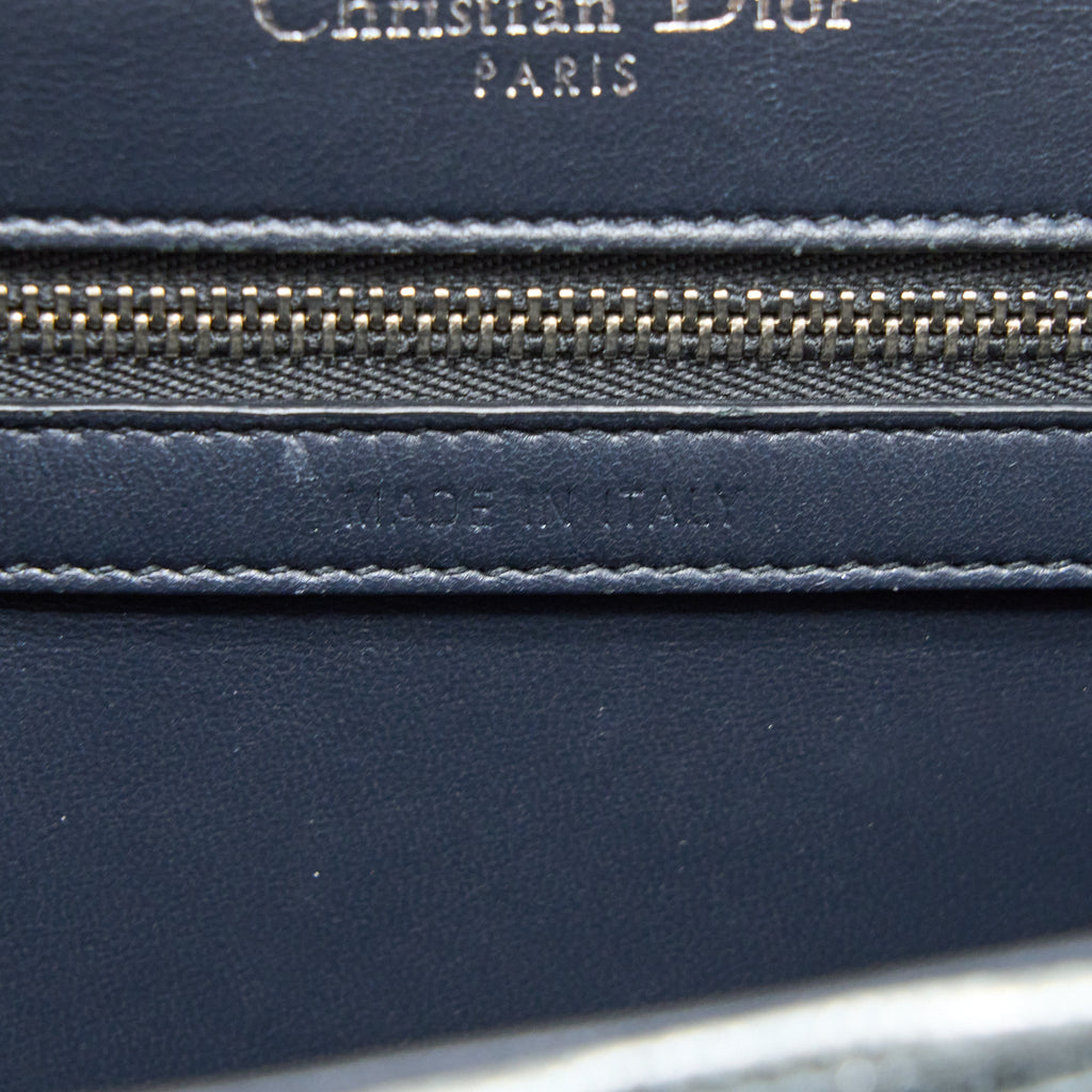 DIOR SMALL DIORAMA LIZARD METALLIC SILVER SHW