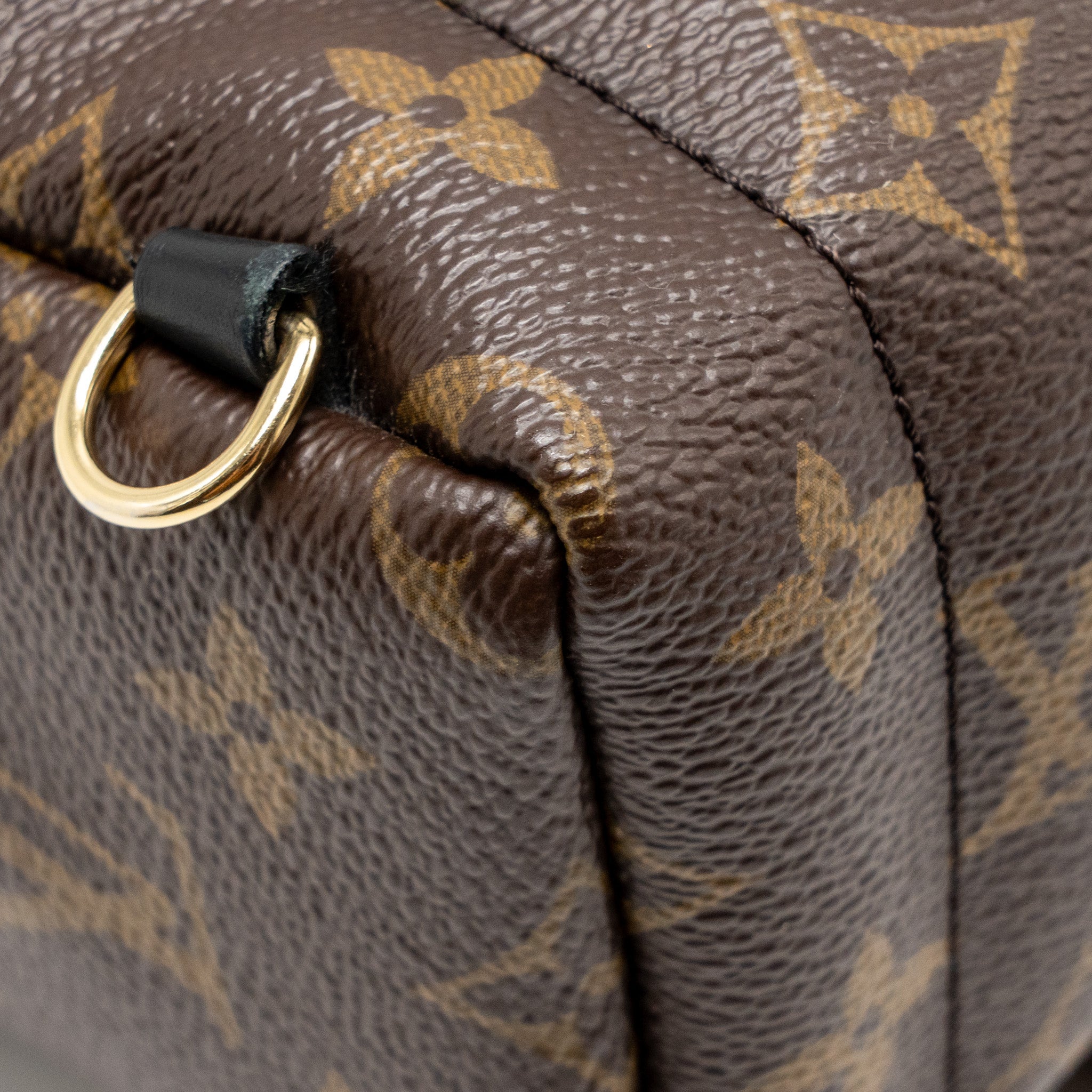 LOUIS VUITTON MINI PALM SPRING BACKPACK MONOGRAM CANVAS GHW