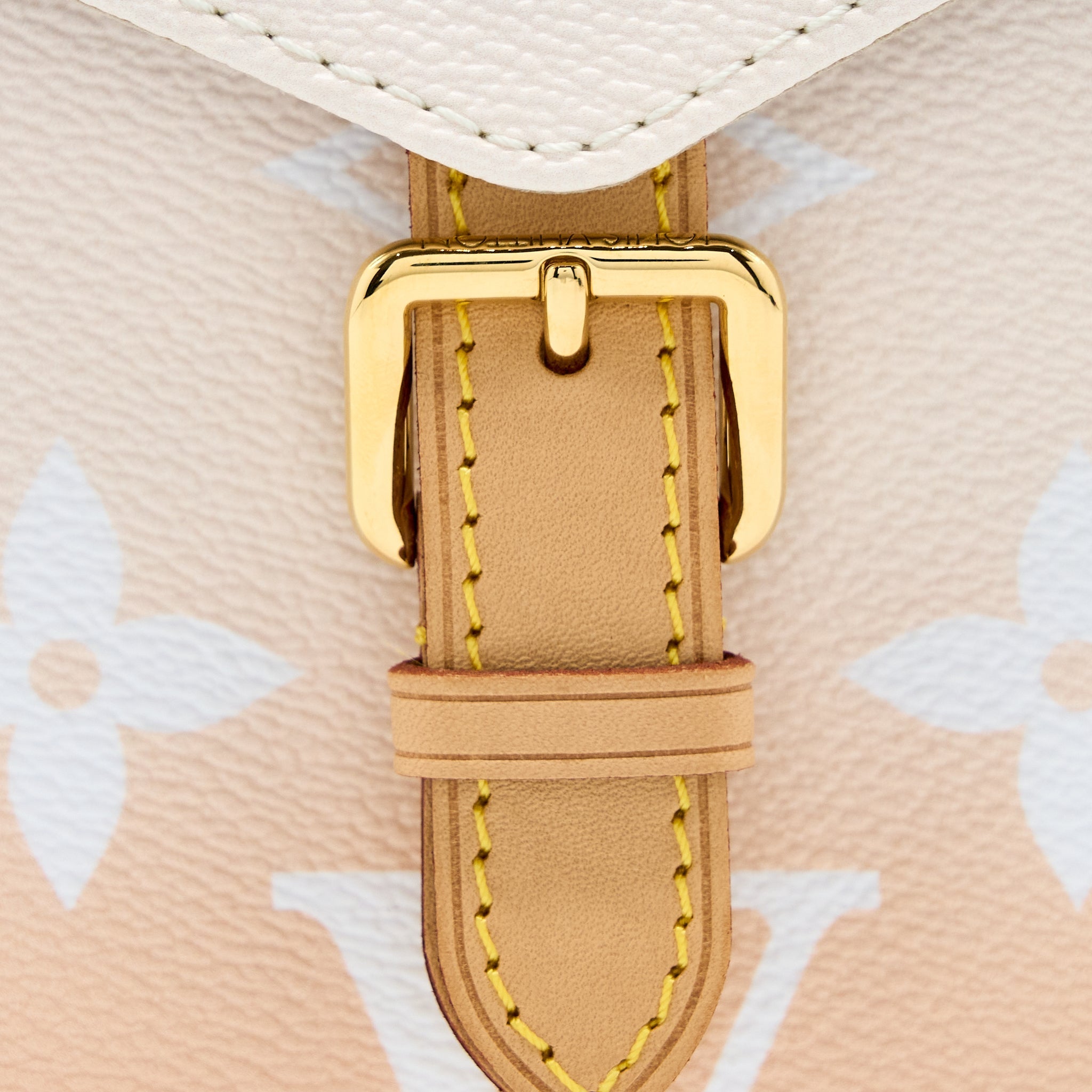 LOUIS VUITTON POOL BRUME MINI BACKPACK MONOGRAM COATED CANVAS GHW