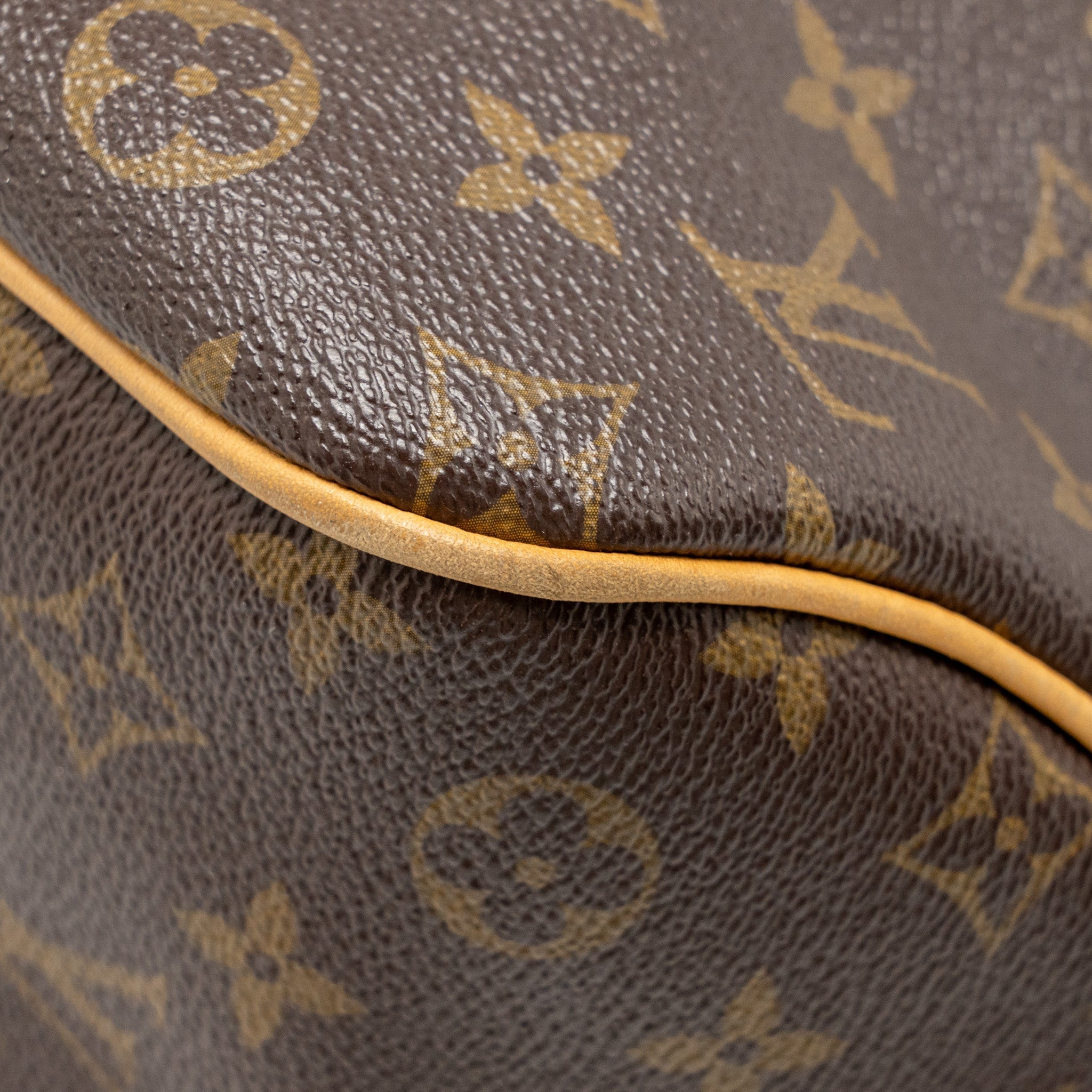 LOUIS VUITTON DELIGHTFUL TOTE BAG MONOGRAM CANVAS GHW