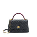 CHANEL COCO HANDLE WITH PYTHON HANDLE