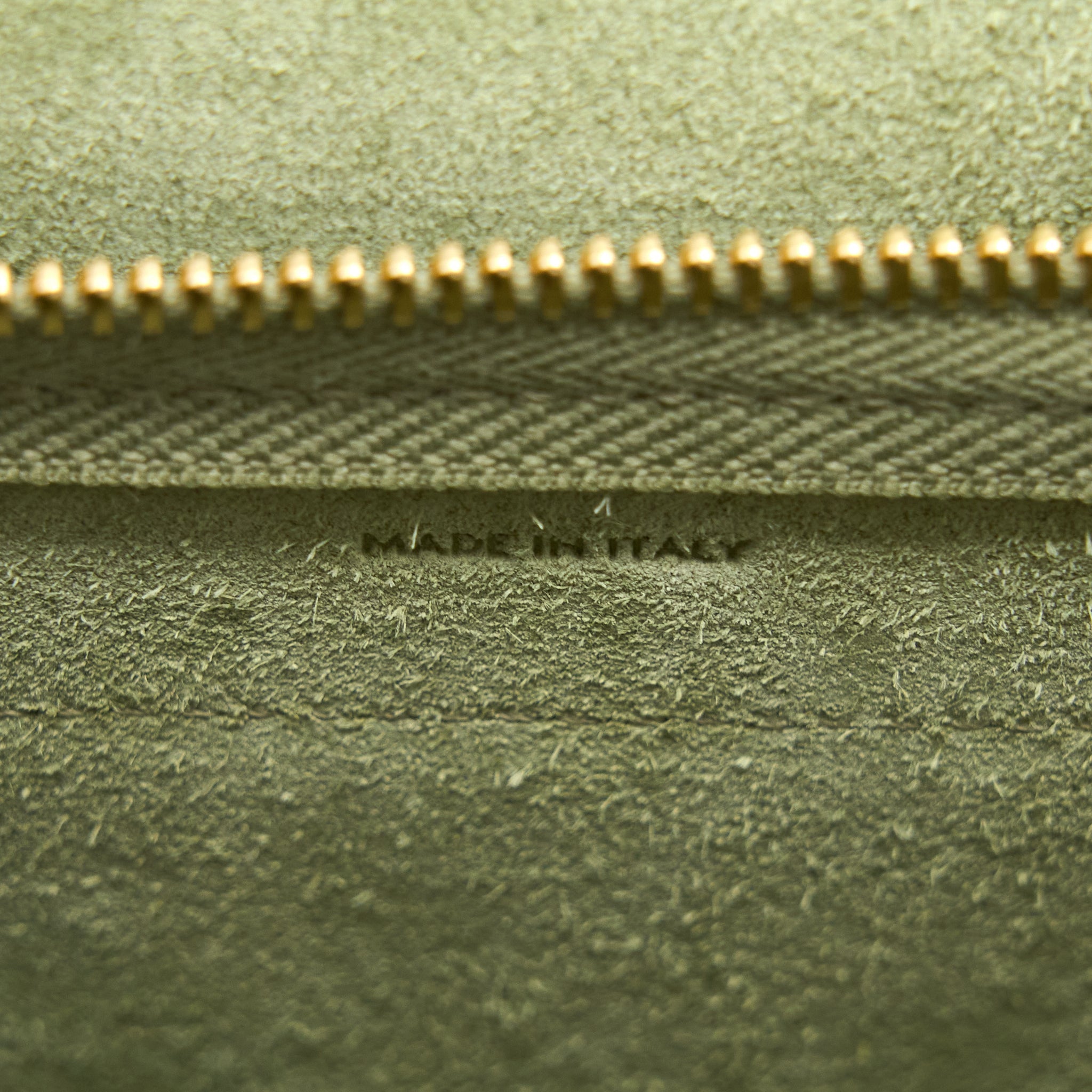 CELINE PICO BELT BAG GRAINED CALFSKIN LIGHT GREEN GHW