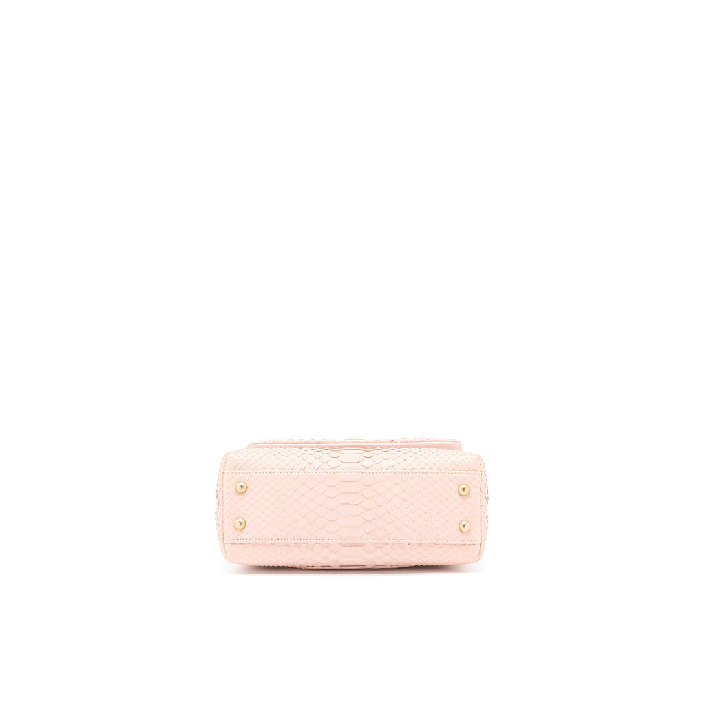 CHANEL SMALL COCO HANDLE PYTHON LEATHER LIGHT PINK BRUSHED GHW