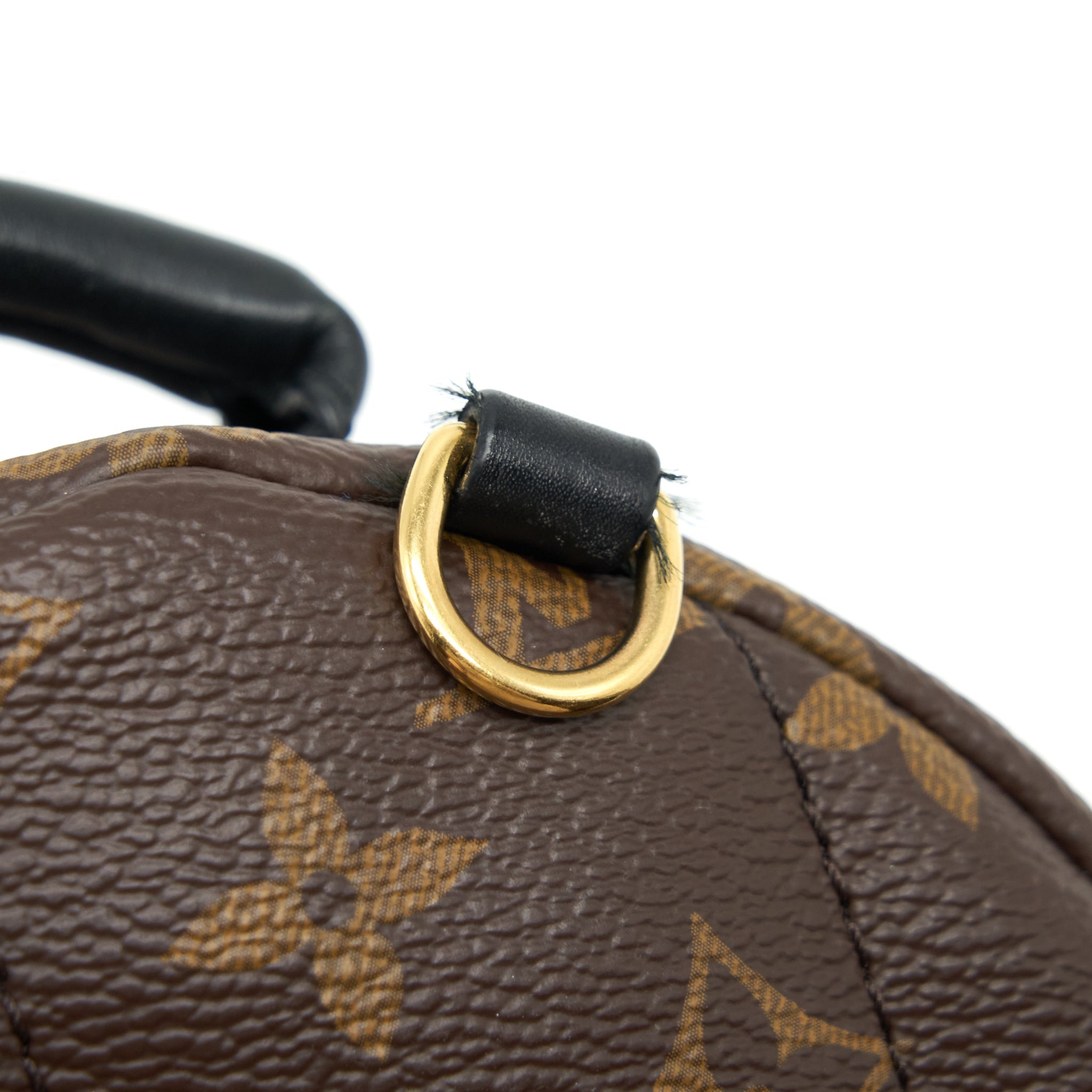 LOUIS VUITTON PALM SPRING MINI BACKPACK MONOGRAM CANVAS GHW