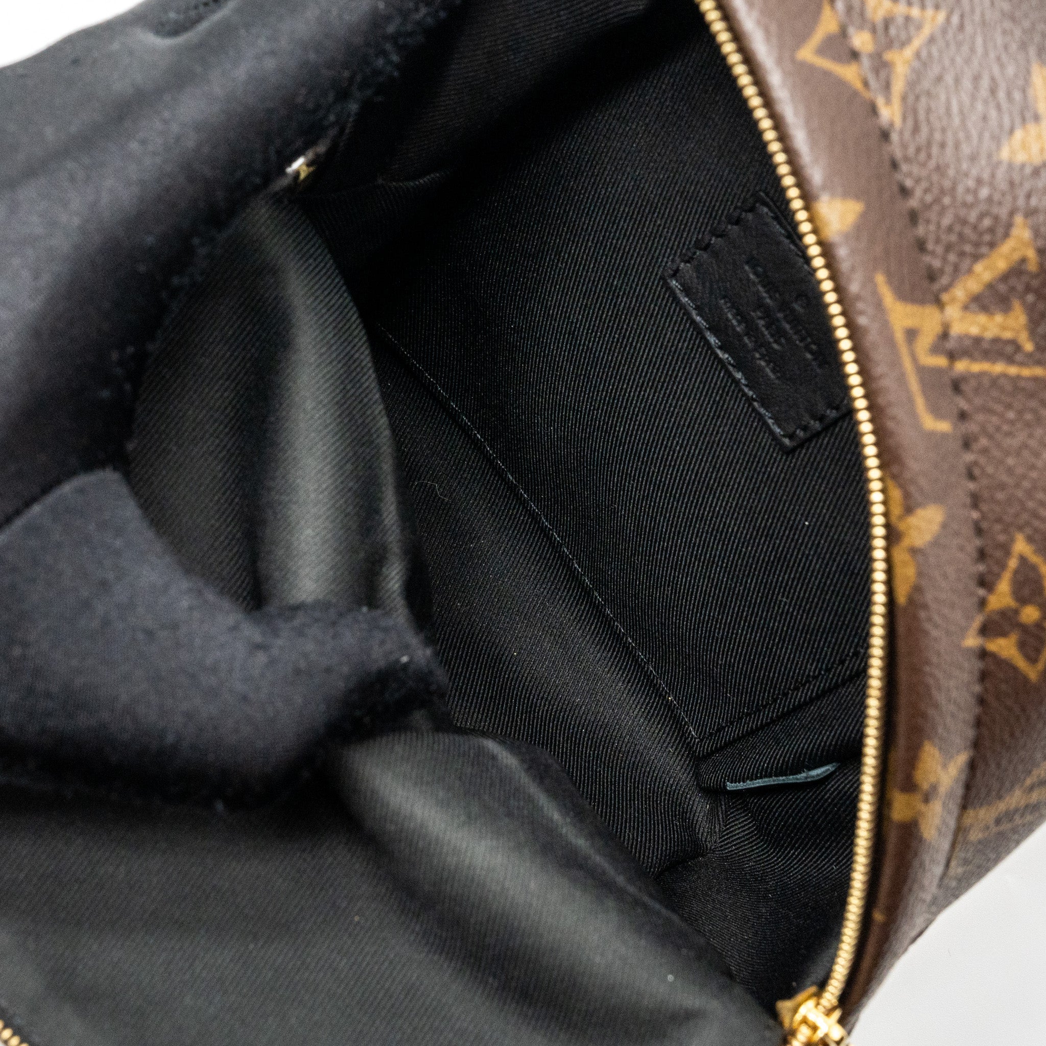 LOUIS VUITTON MINI PALM SPRING BACKPACK MONOGRAM CANVAS GHW