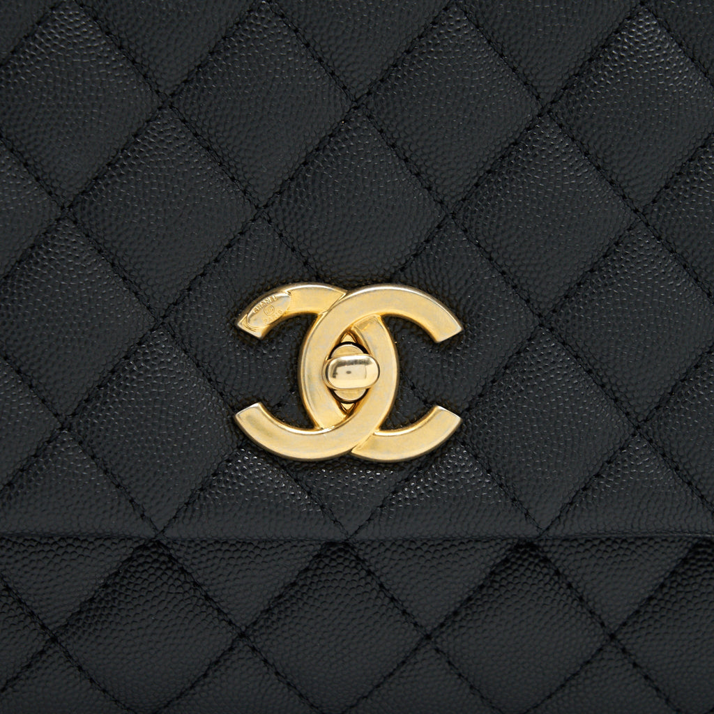 CHANEL COCO HANDLE WITH PYTHON HANDLE