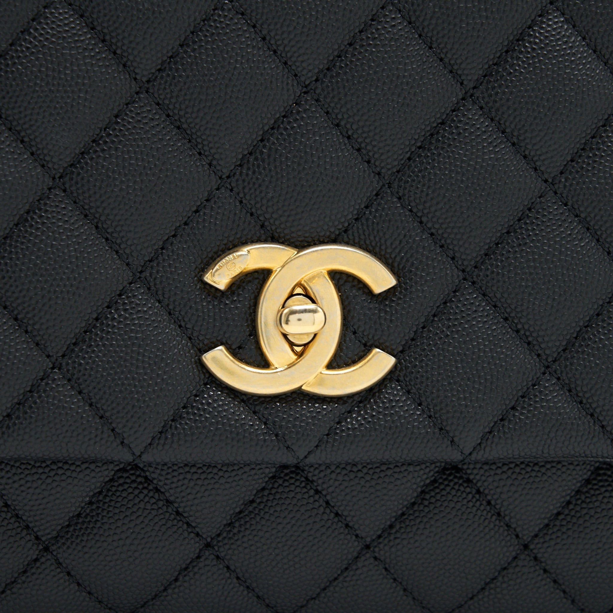 CHANEL COCO HANDLE WITH PYTHON HANDLE
