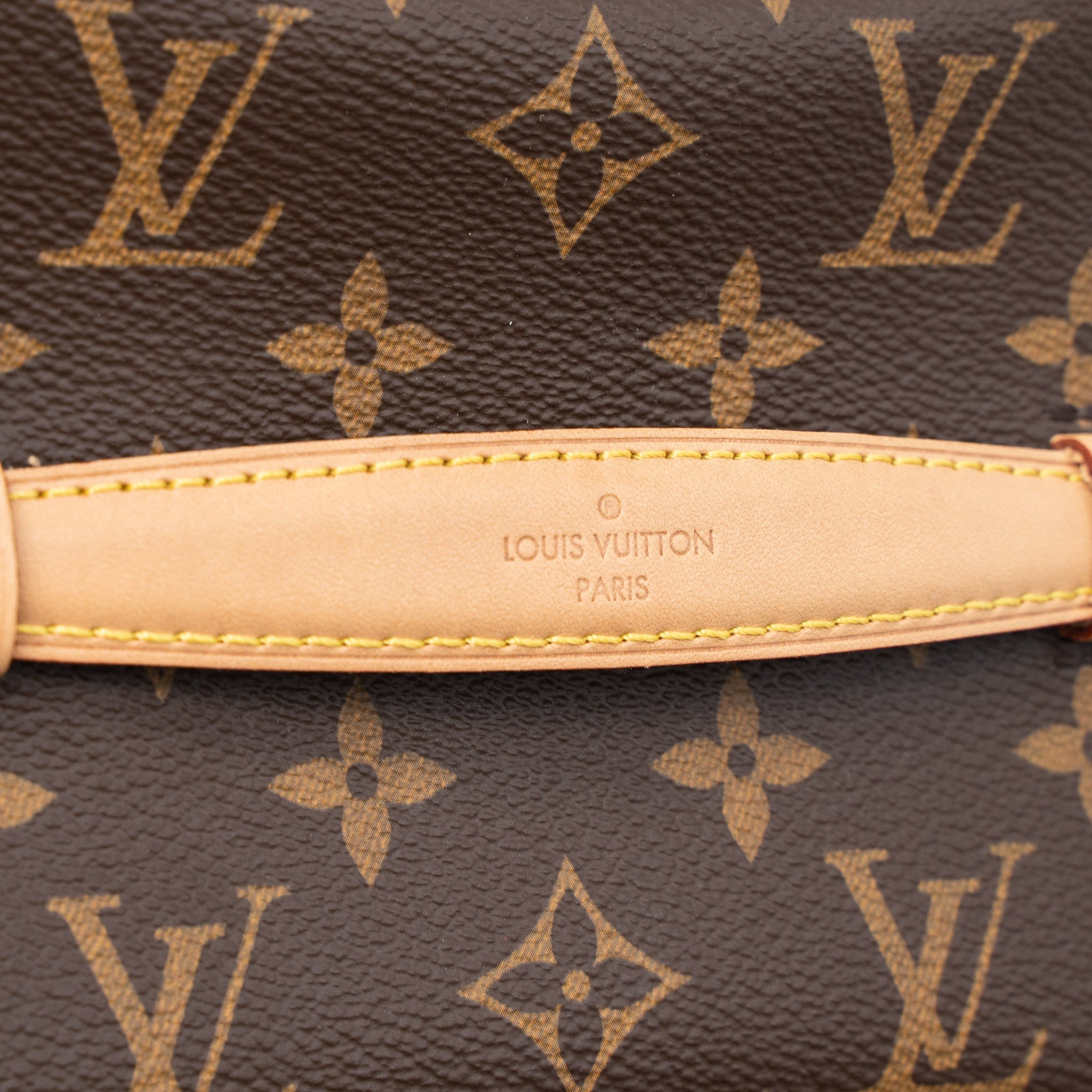LOUIS VUITTON NICE MINI MONOGRAM CANVAS GHW