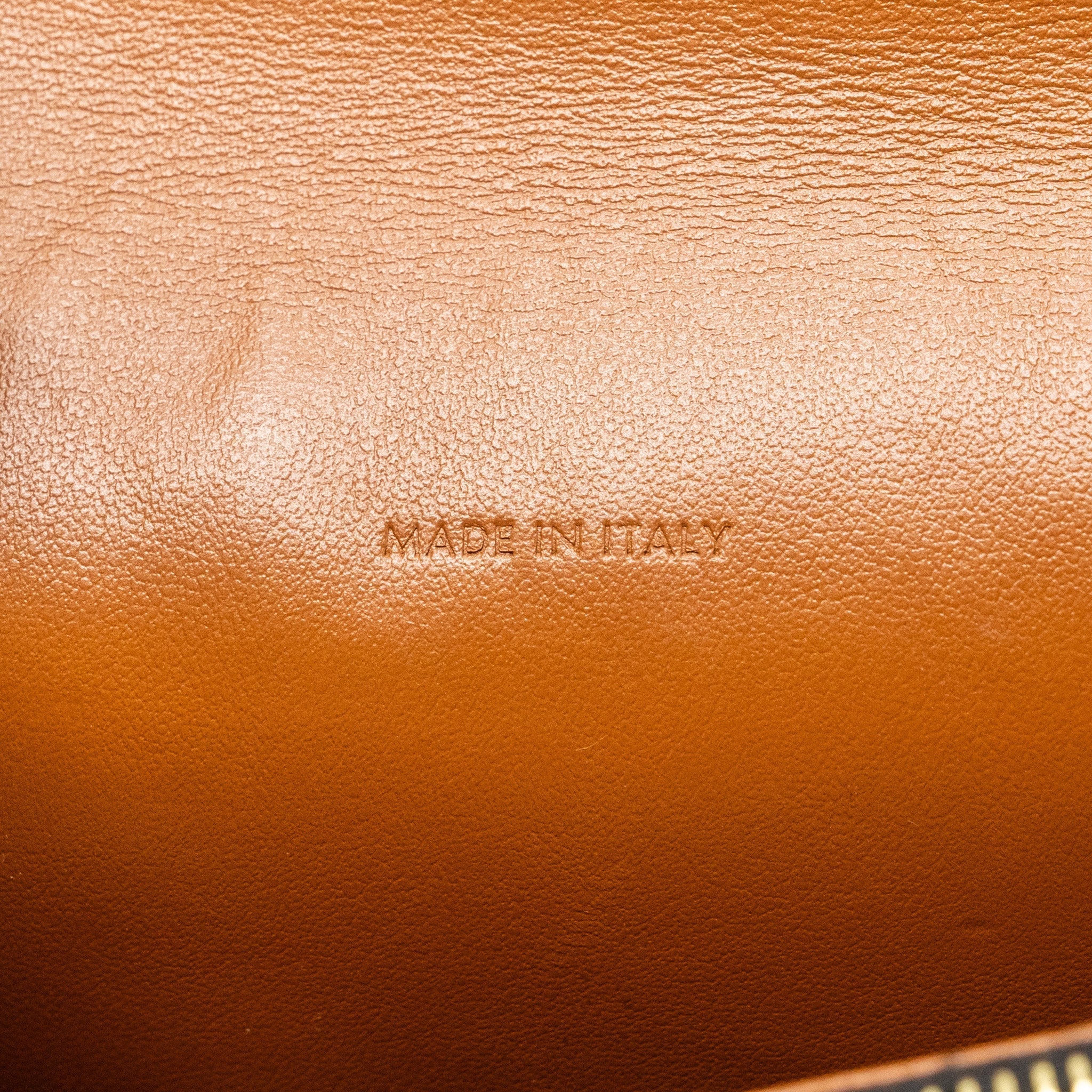 CELINE WALLET ON STRAP TRIOMPHE CANVAS / LAMBSKIN TAN GHW